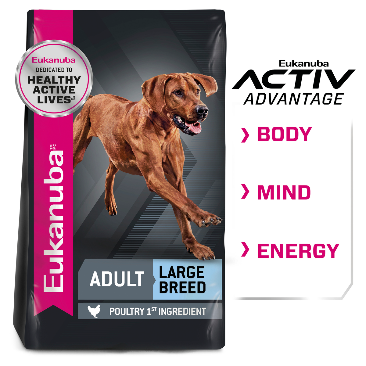 Eukanuba Adult Large Breed bag beside the Activ Advantage body, mind and energy panel