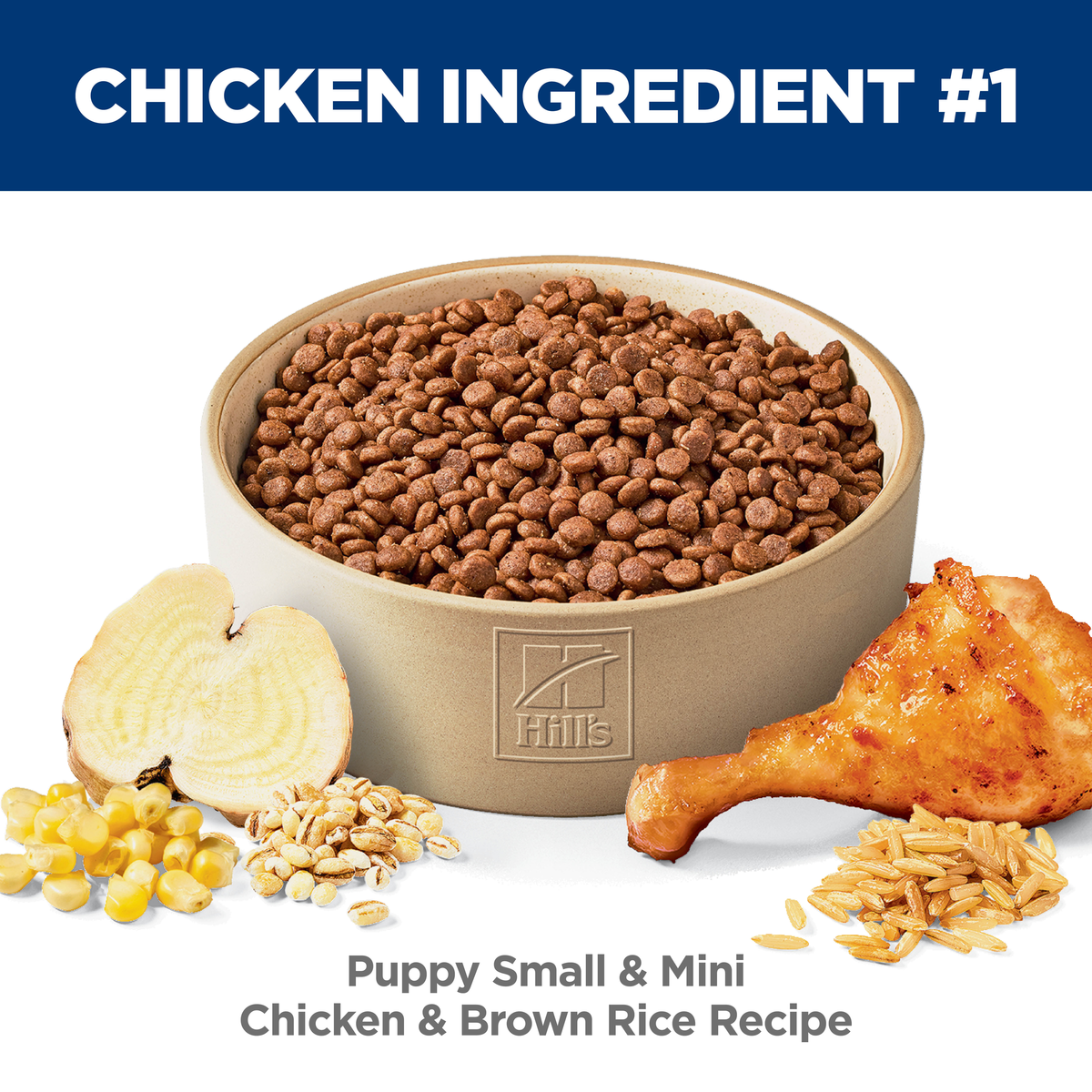 Chicken is ingredient number one: bowl of Hill's Puppy Small & Mini chicken and brown rice kibble