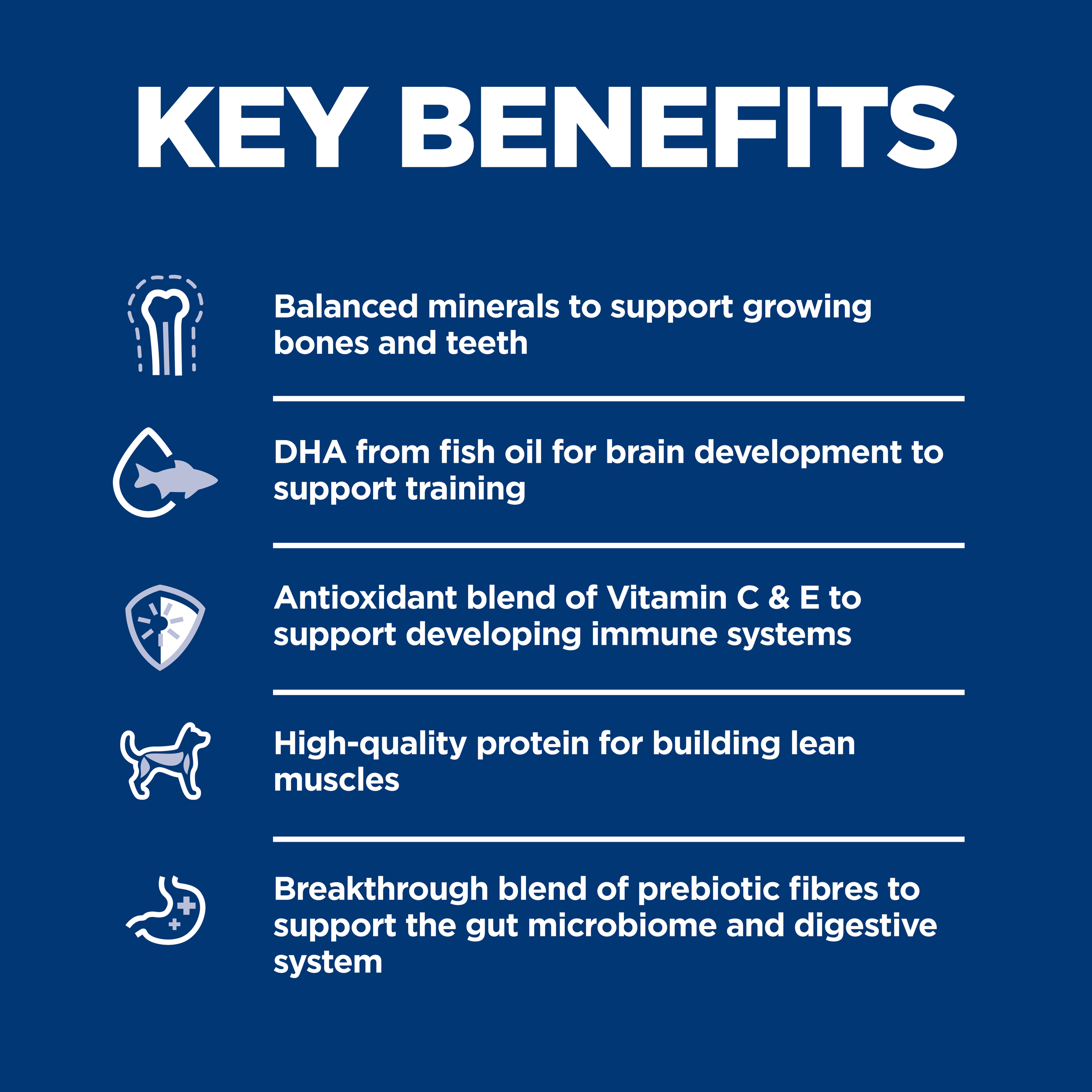 Key benefits panel for Hill's Puppy Small & Mini: minerals, DHA, antioxidants, protein and prebiotics