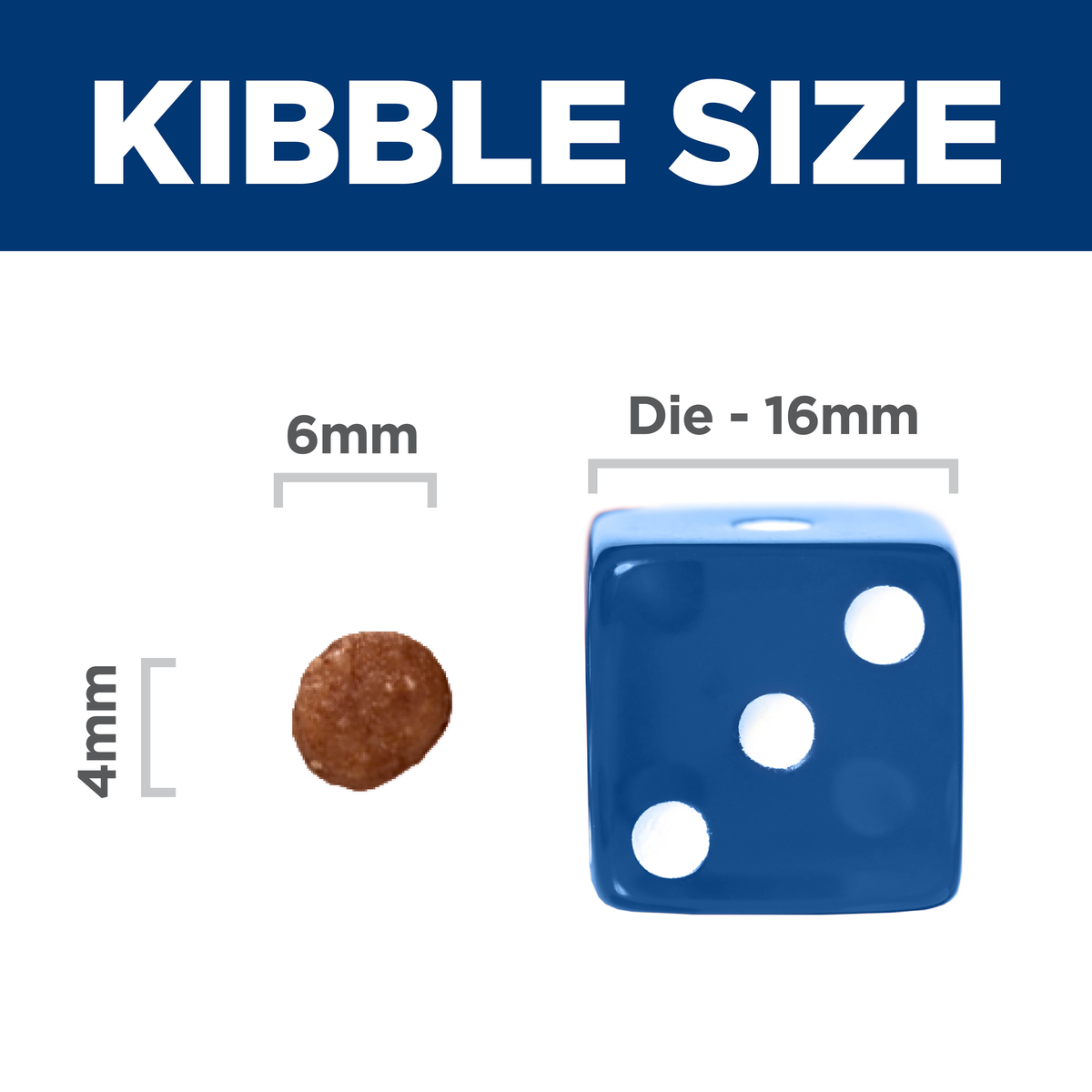 Kibble size comparison: 6mm by 4mm Hill's Indoor Kitten kibble beside a 16mm dice