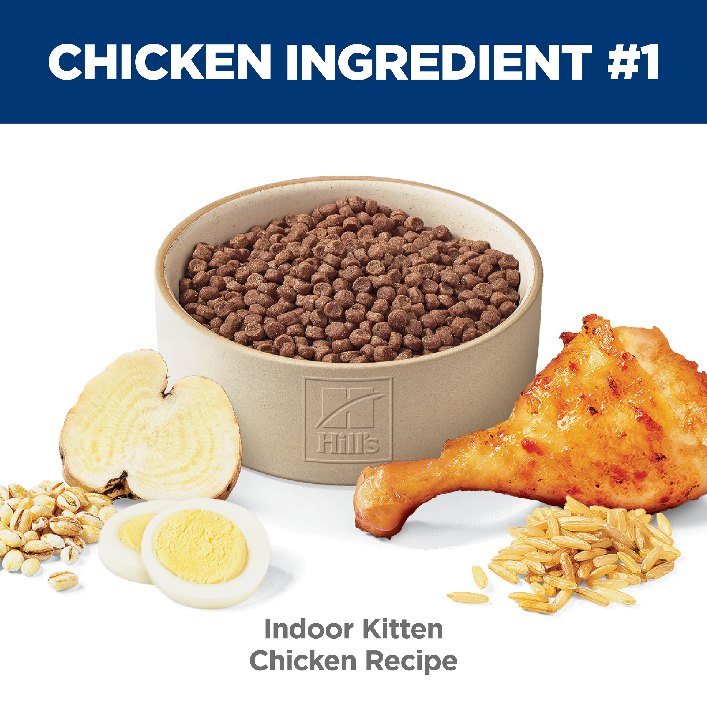 Chicken is ingredient number one: bowl of Hill's Indoor Kitten chicken recipe kibble
