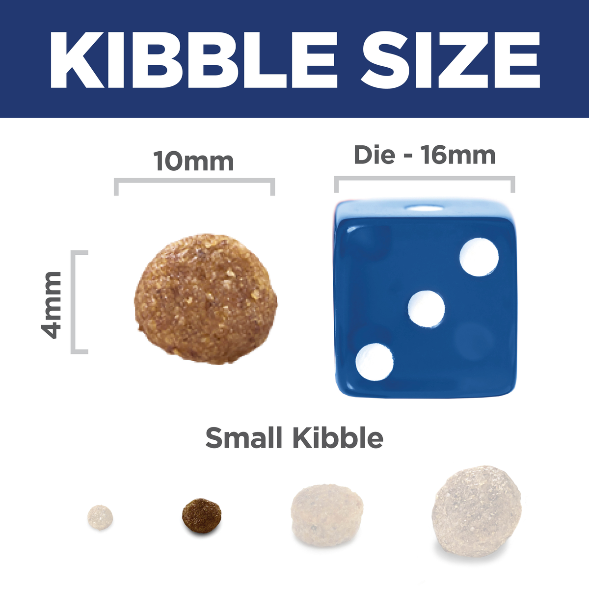 Kibble size comparison: 10mm by 4mm Hill's Science Diet Puppy small kibble beside a 16mm dice