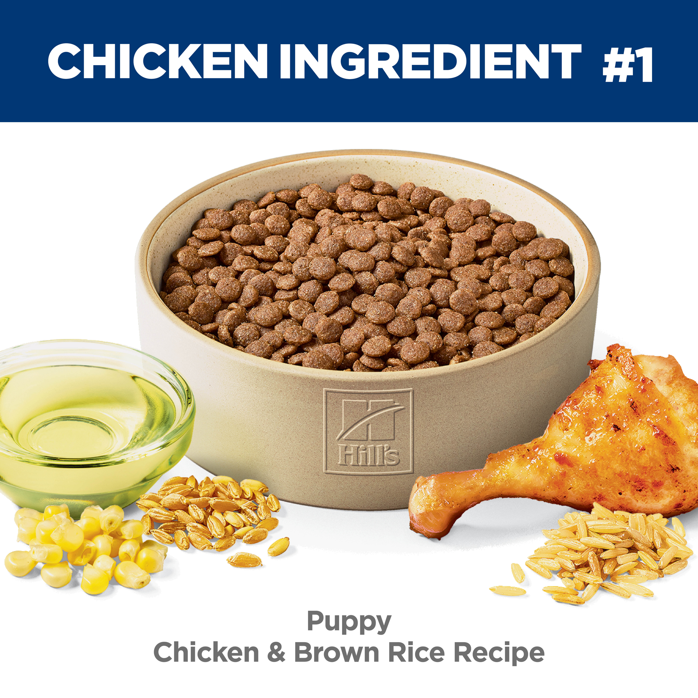 Chicken is ingredient number one: bowl of Hill's Science Diet Puppy chicken and brown rice kibble