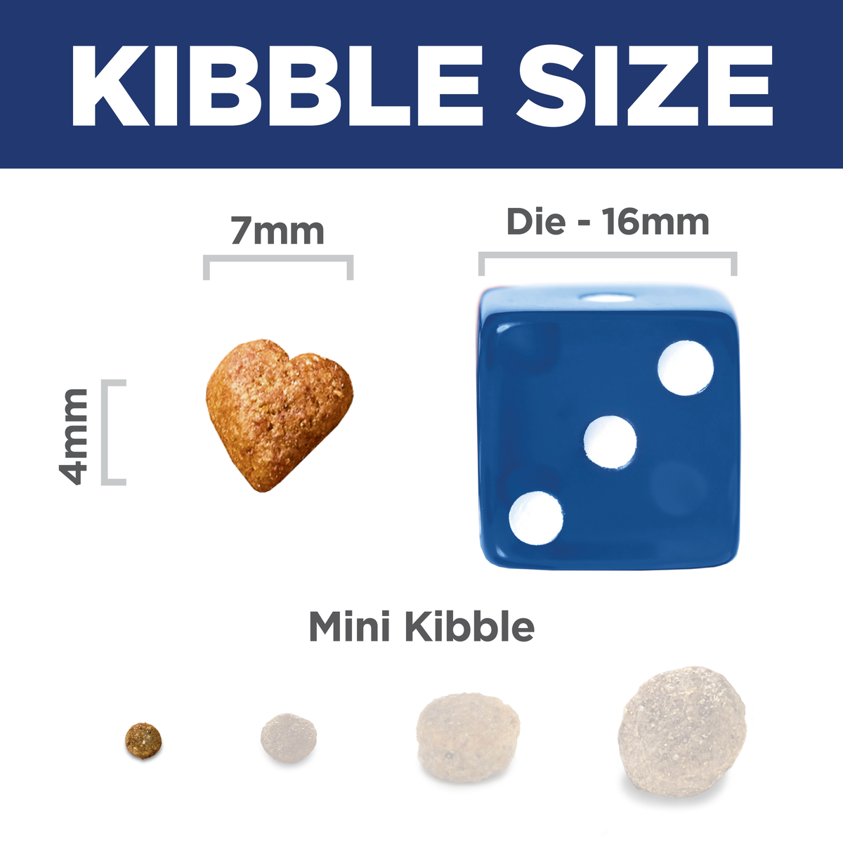 Kibble size comparison: 7mm by 4mm Hill's Perfect Weight Small & Mini kibble beside a 16mm dice