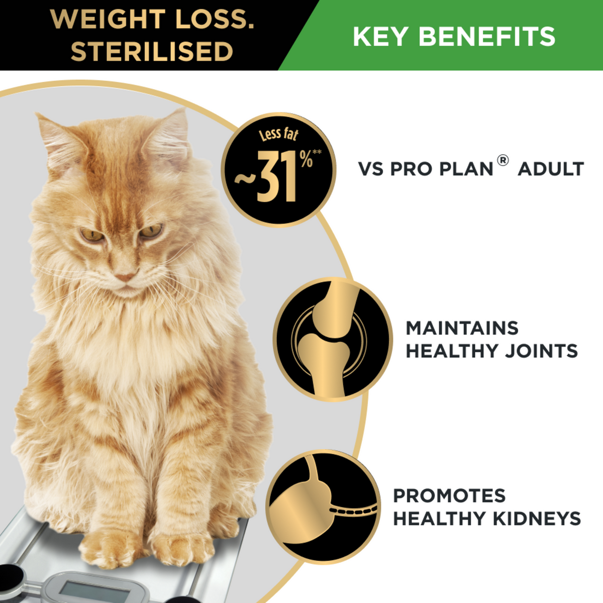 PRO PLAN Weight Loss Sterilised key benefits panel with a cat: lower fat, joints and kidneys