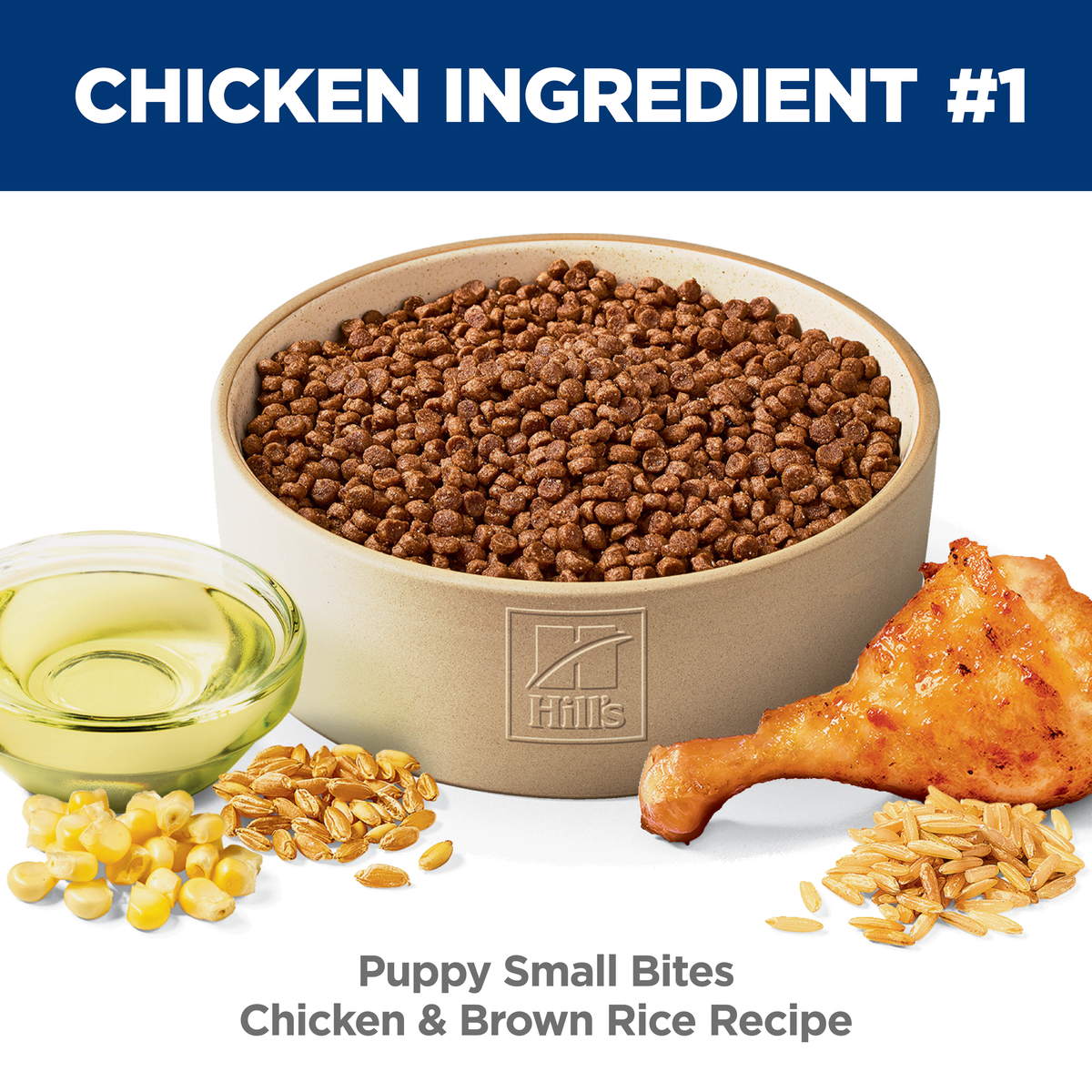 Chicken is ingredient number one: bowl of Hill's Puppy Small Bites chicken and brown rice kibble