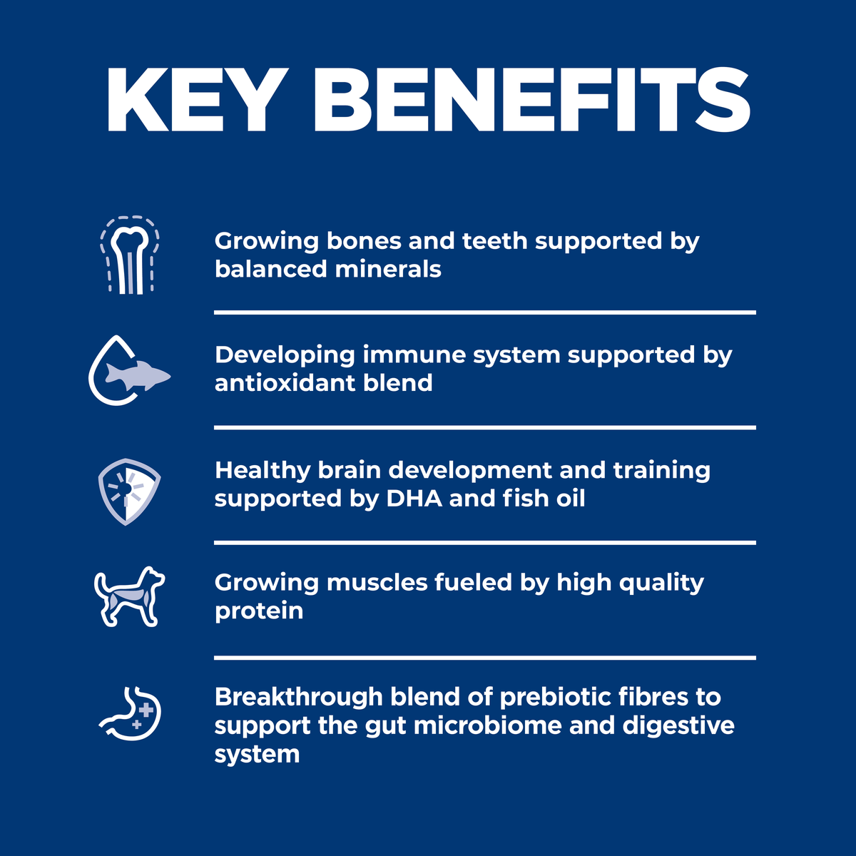 Key benefits panel for Hill's Puppy Small Bites: minerals, antioxidants, DHA, protein and prebiotics