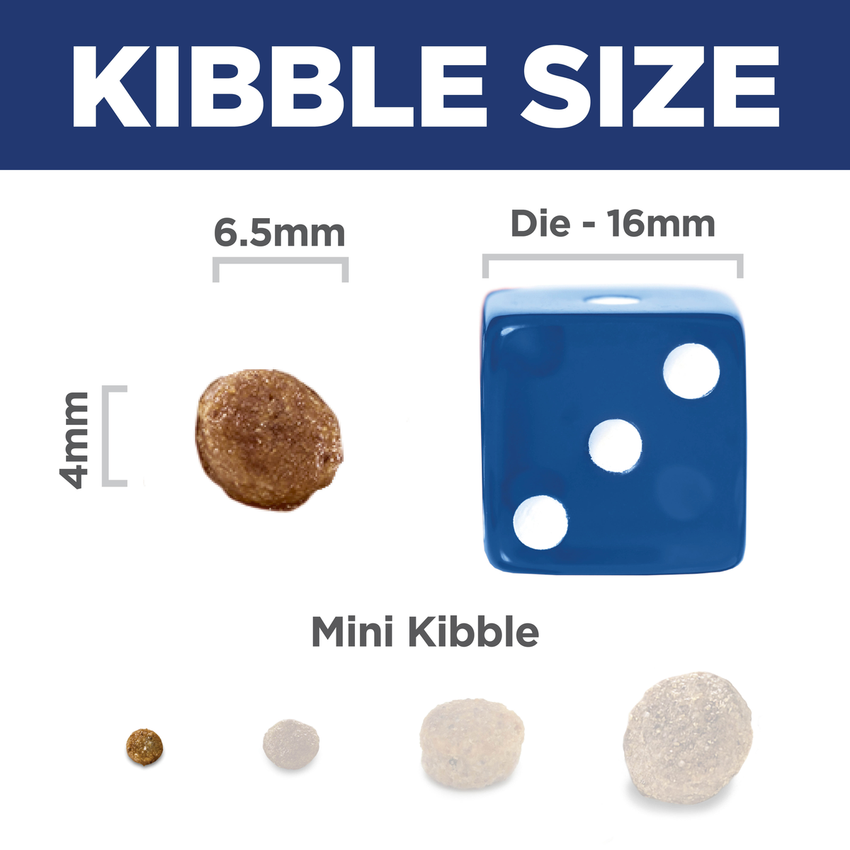 Kibble size comparison: 6.5mm by 4mm Hill's Puppy Small Bites mini kibble beside a 16mm dice
