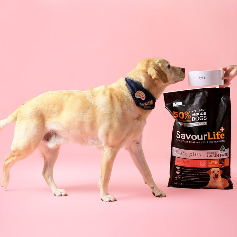 SavourLife Grain Free Care Plus Lean Australian Turkey Dry Dog Food