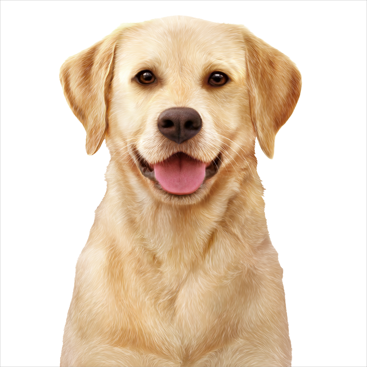 Yellow Labrador, the dog pictured on ADVANCE Healthy Weight wet dog food packs