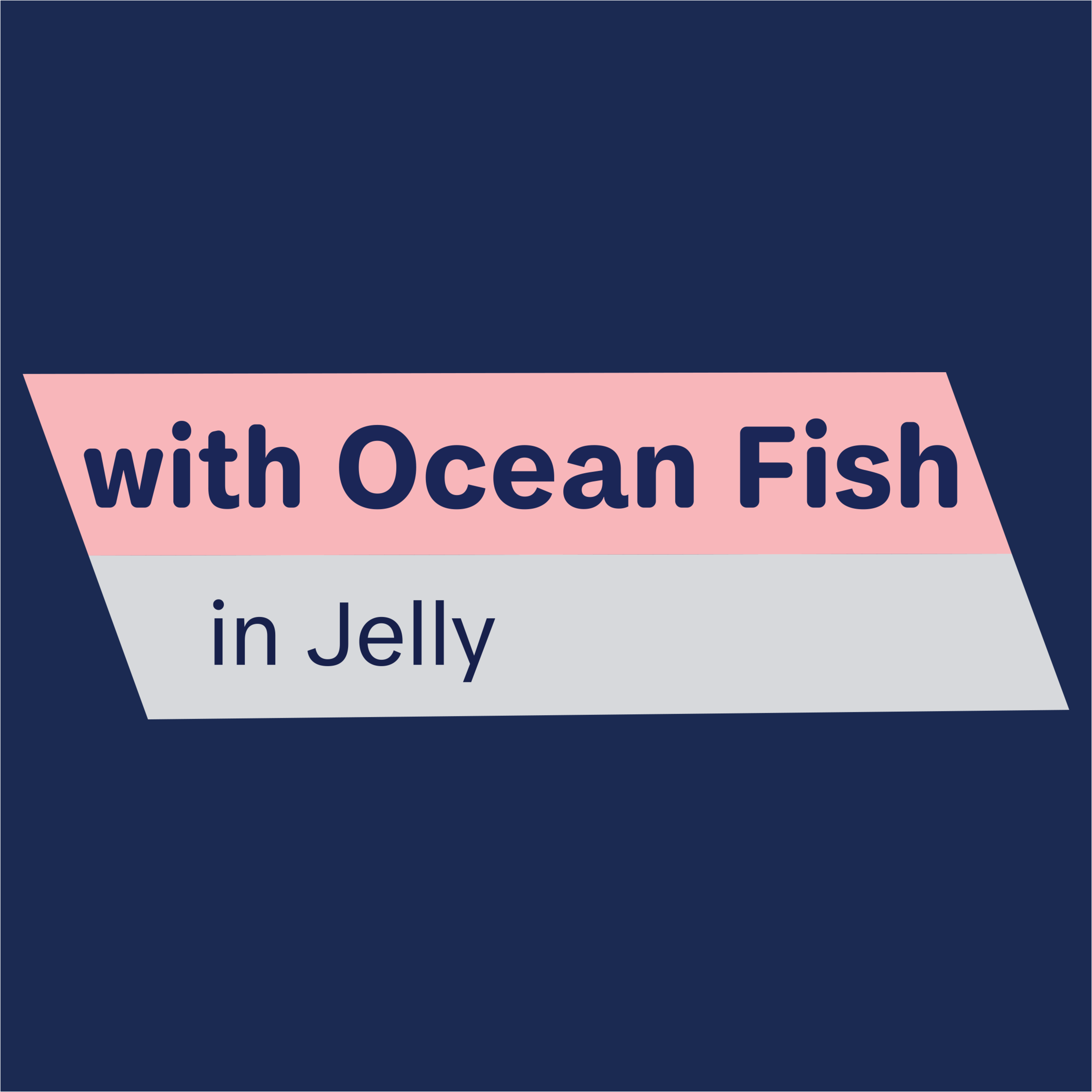 ADVANCE Adult Wet Cat Food Ocean Fish In Jelly 12x85g Pouches product detail 10