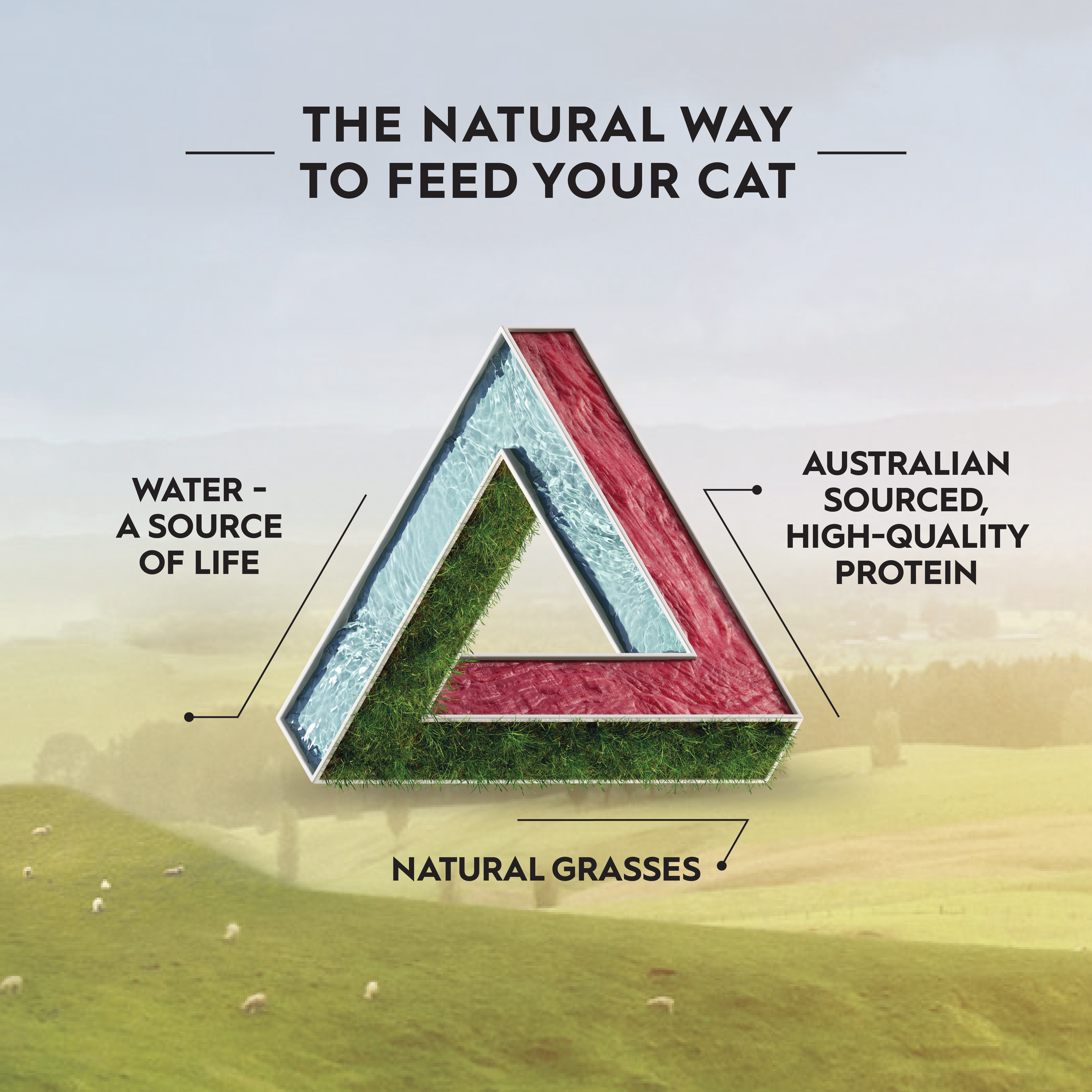 Trilogy the natural way to feed your cat triangle diagram: water, natural grasses and Australian protein