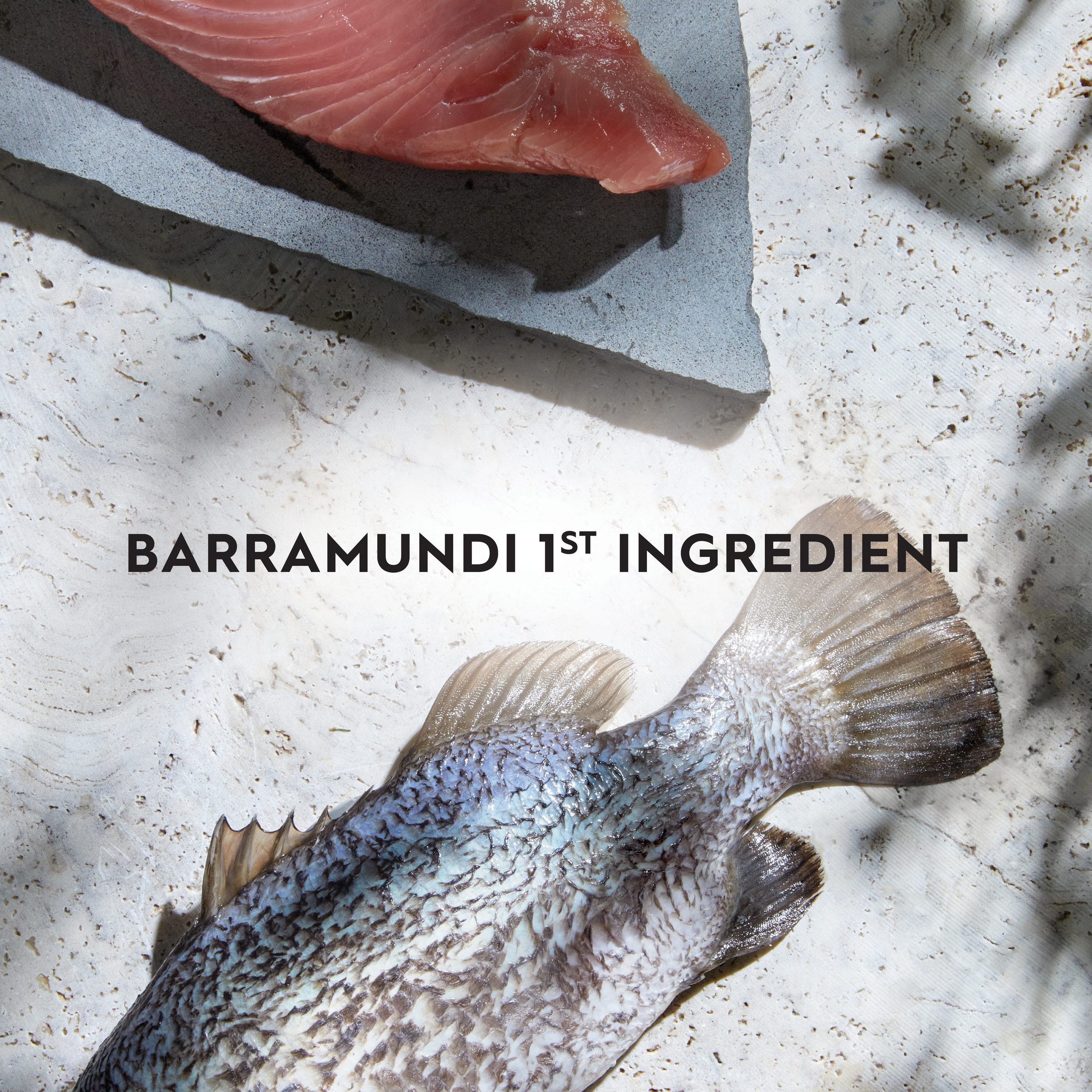 Trilogy Dry Adult Cat Food Australian Barramundi with Tuna + Freeze Dried Lamb product detail 3