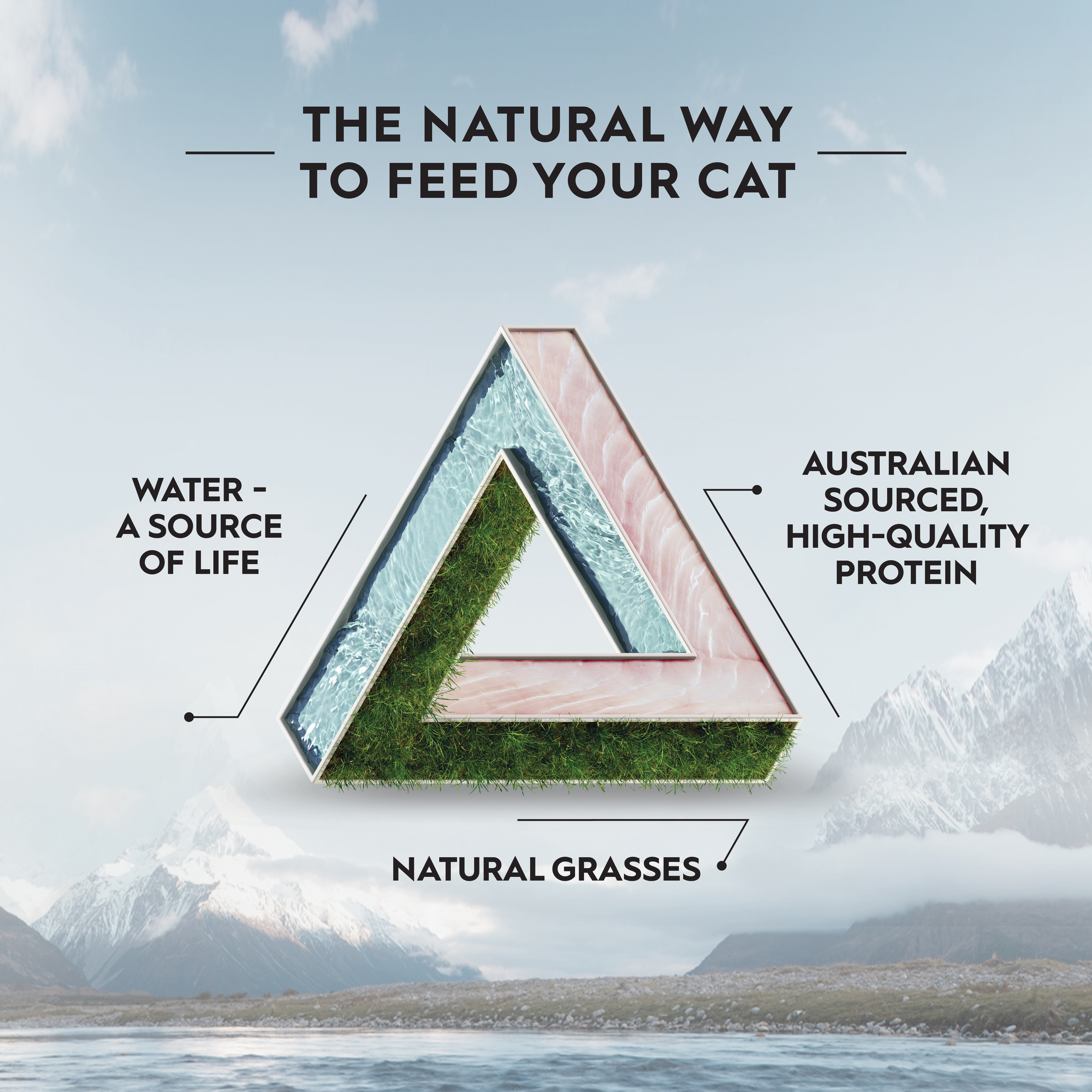 Trilogy Dry Adult Cat Food Australian Barramundi with Tuna + Freeze Dried Lamb product detail 6