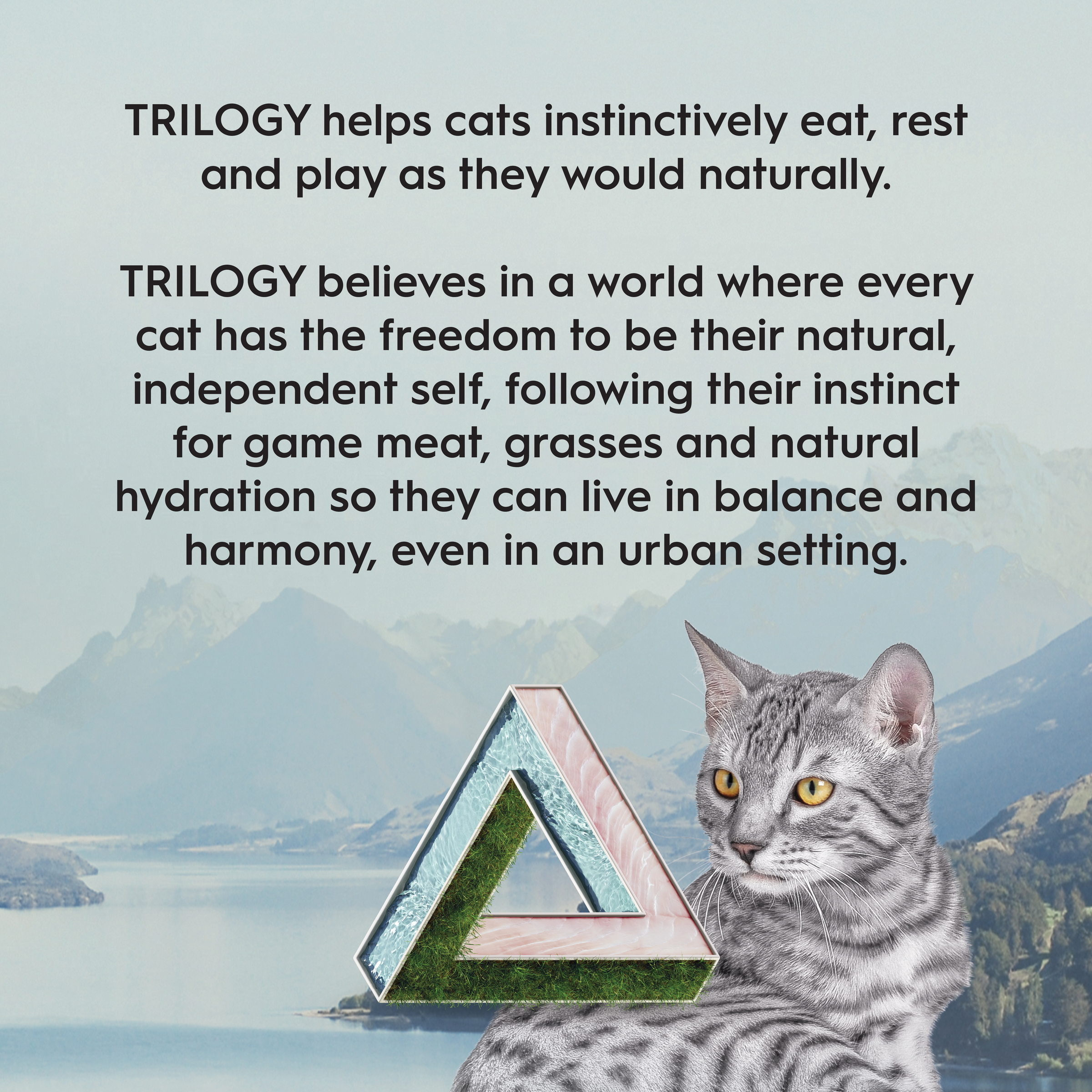 Trilogy Dry Adult Cat Food Australian Barramundi with Tuna + Freeze Dried Lamb product detail 7