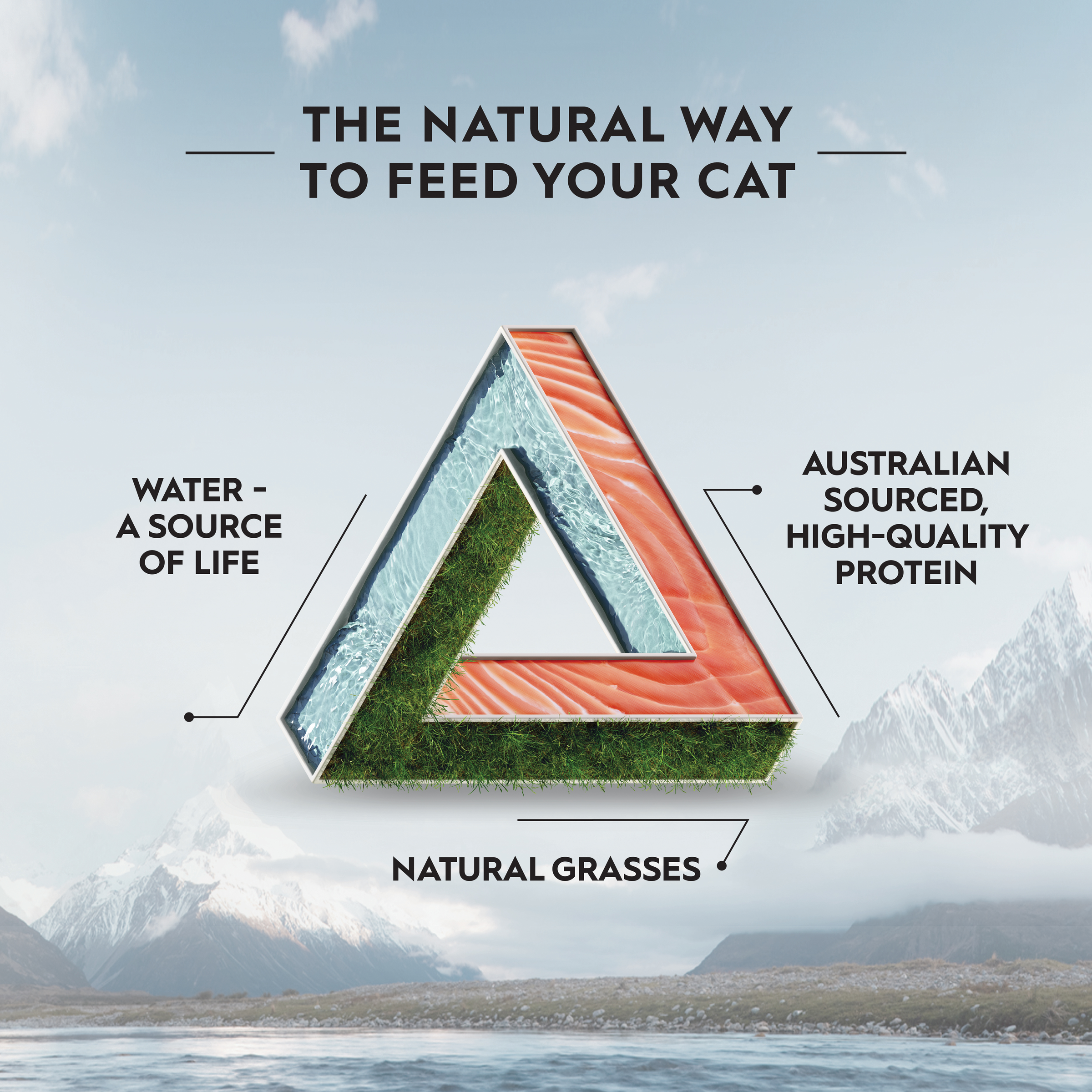 Trilogy Dry Adult Cat Food Australian Salmon + Freeze Dried Lamb product detail 6