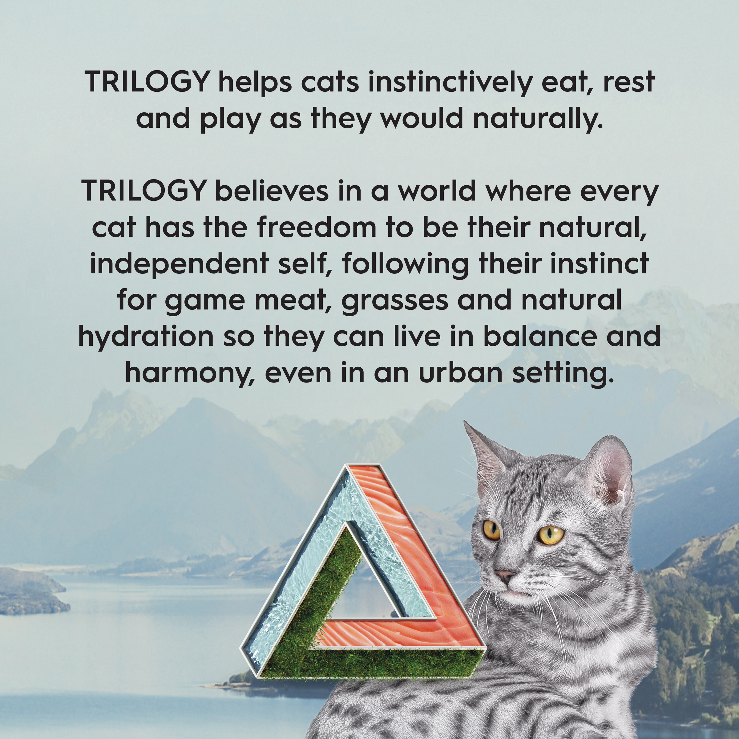 Trilogy Dry Adult Cat Food Australian Salmon + Freeze Dried Lamb product detail 7