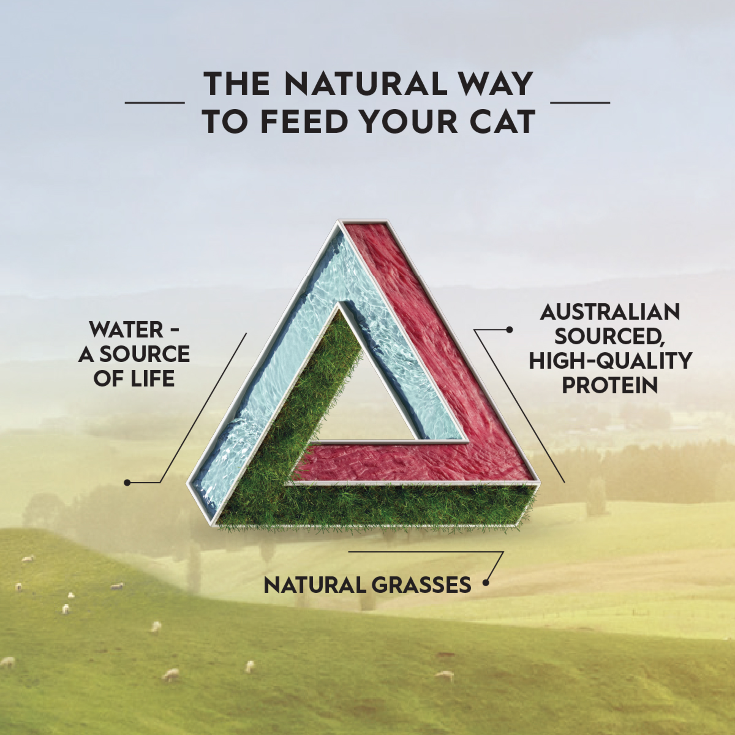 Trilogy Freeze Dried Cat Treats Lamb product detail 6
