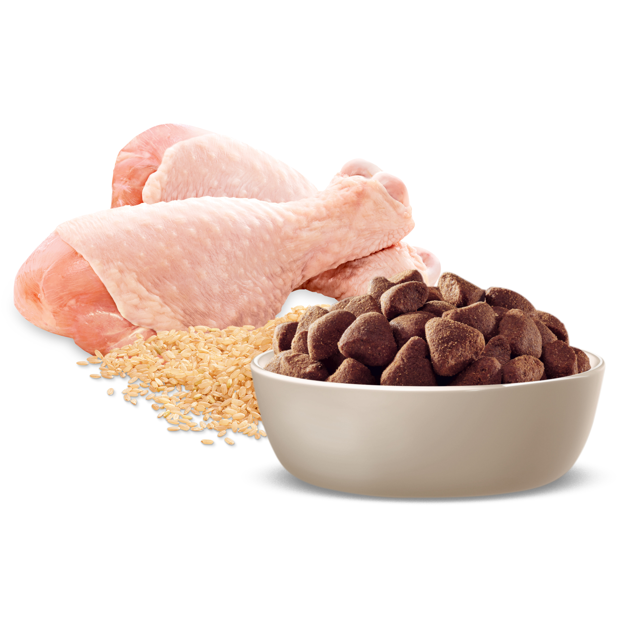 Raw chicken, rice and ADVANCE Healthy Ageing Large Breed kibble in a bowl