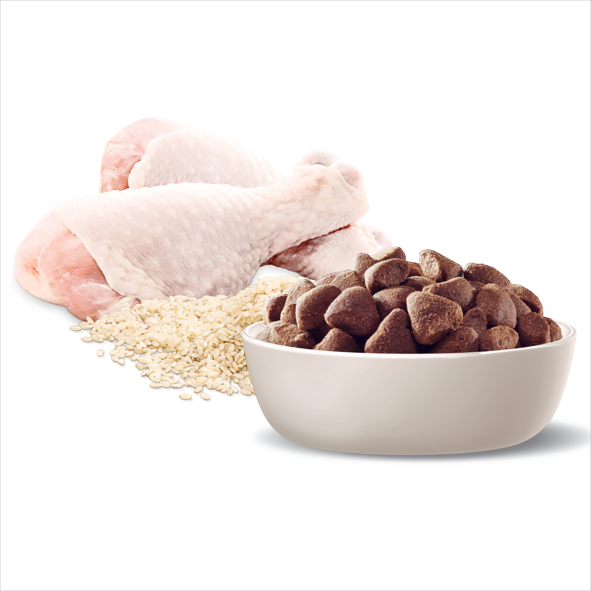 Raw chicken, rice and ADVANCE Adult Large Breed kibble in a bowl