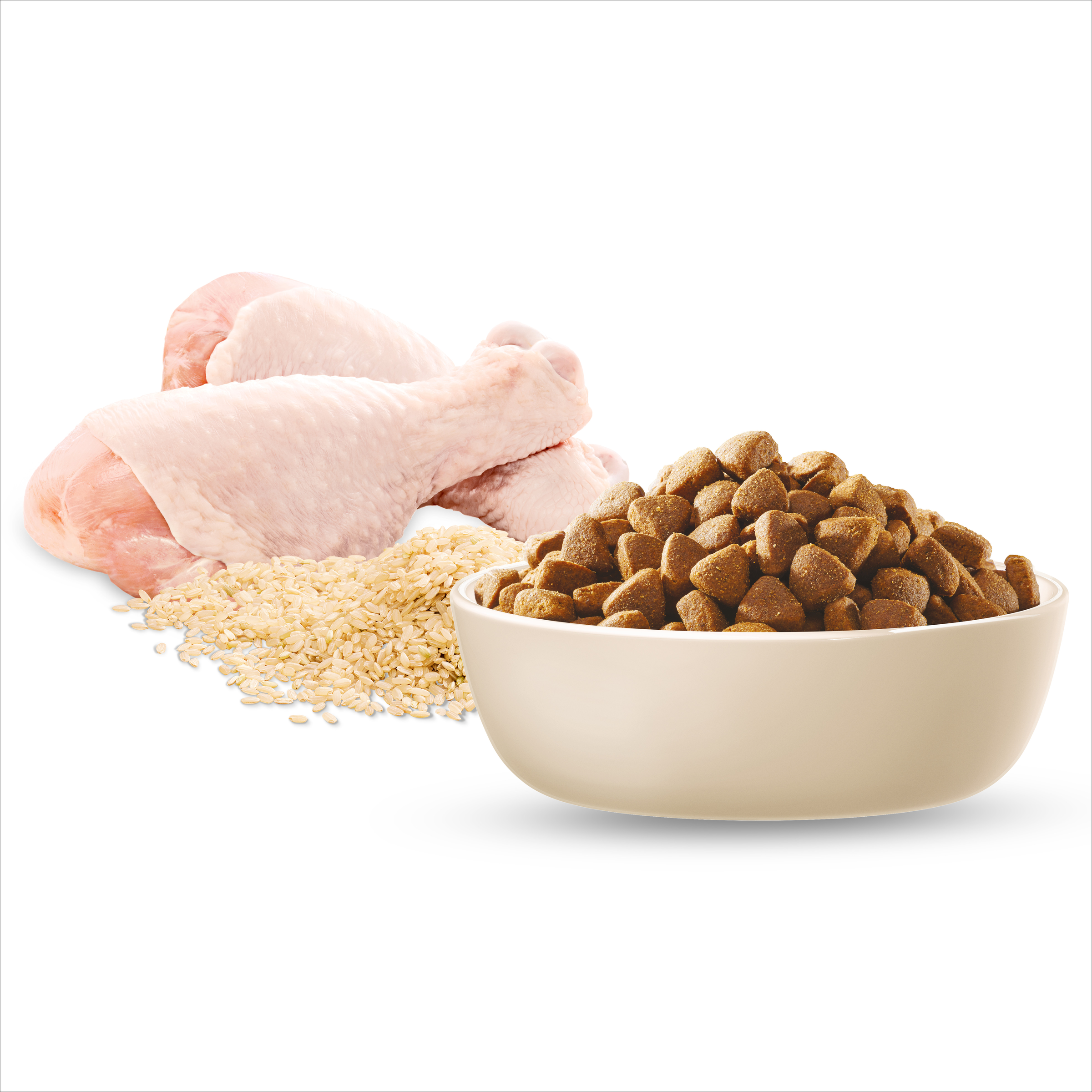 Raw chicken, rice and ADVANCE Adult Medium Breed kibble in a bowl