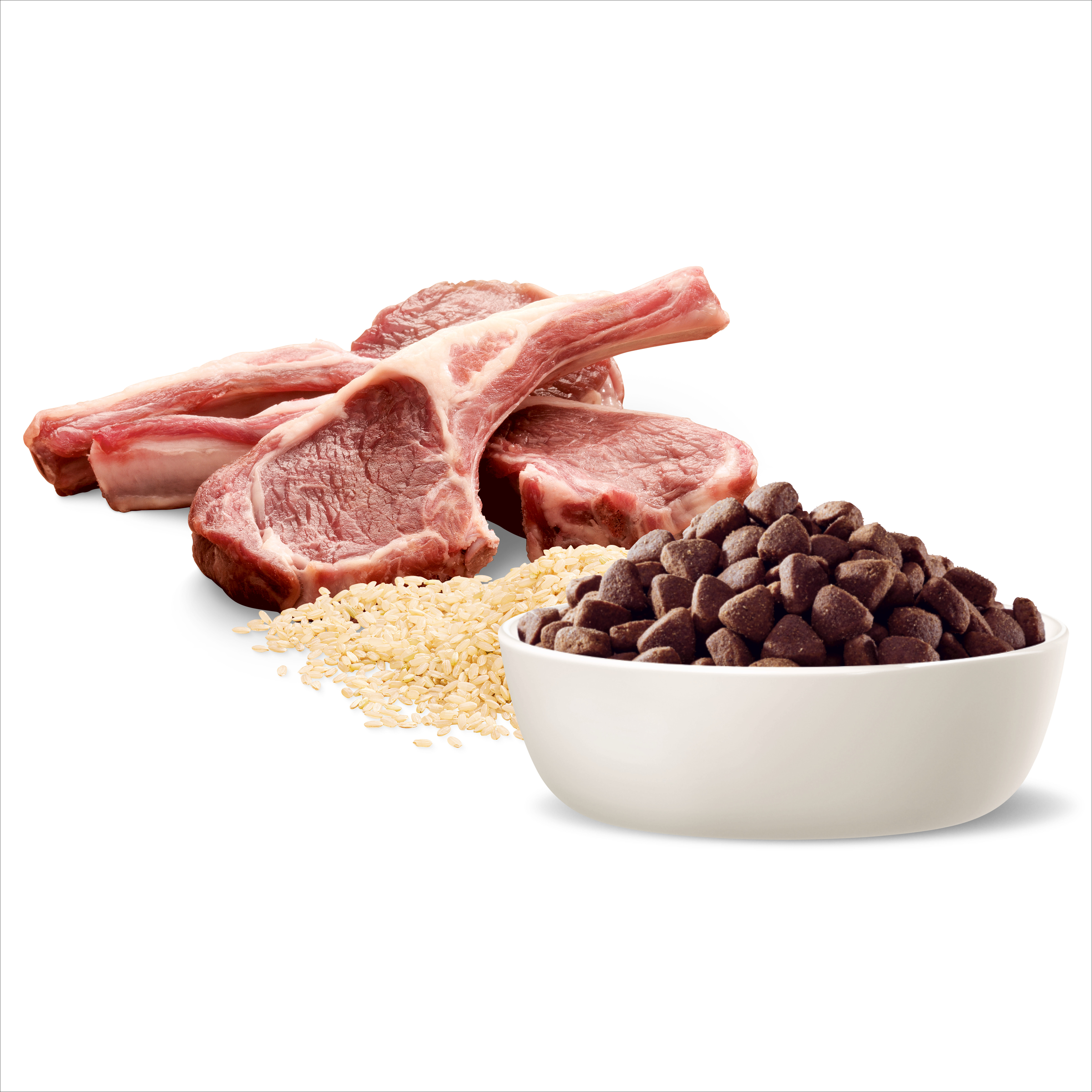 Raw lamb, rice and ADVANCE Adult Medium Breed kibble in a bowl