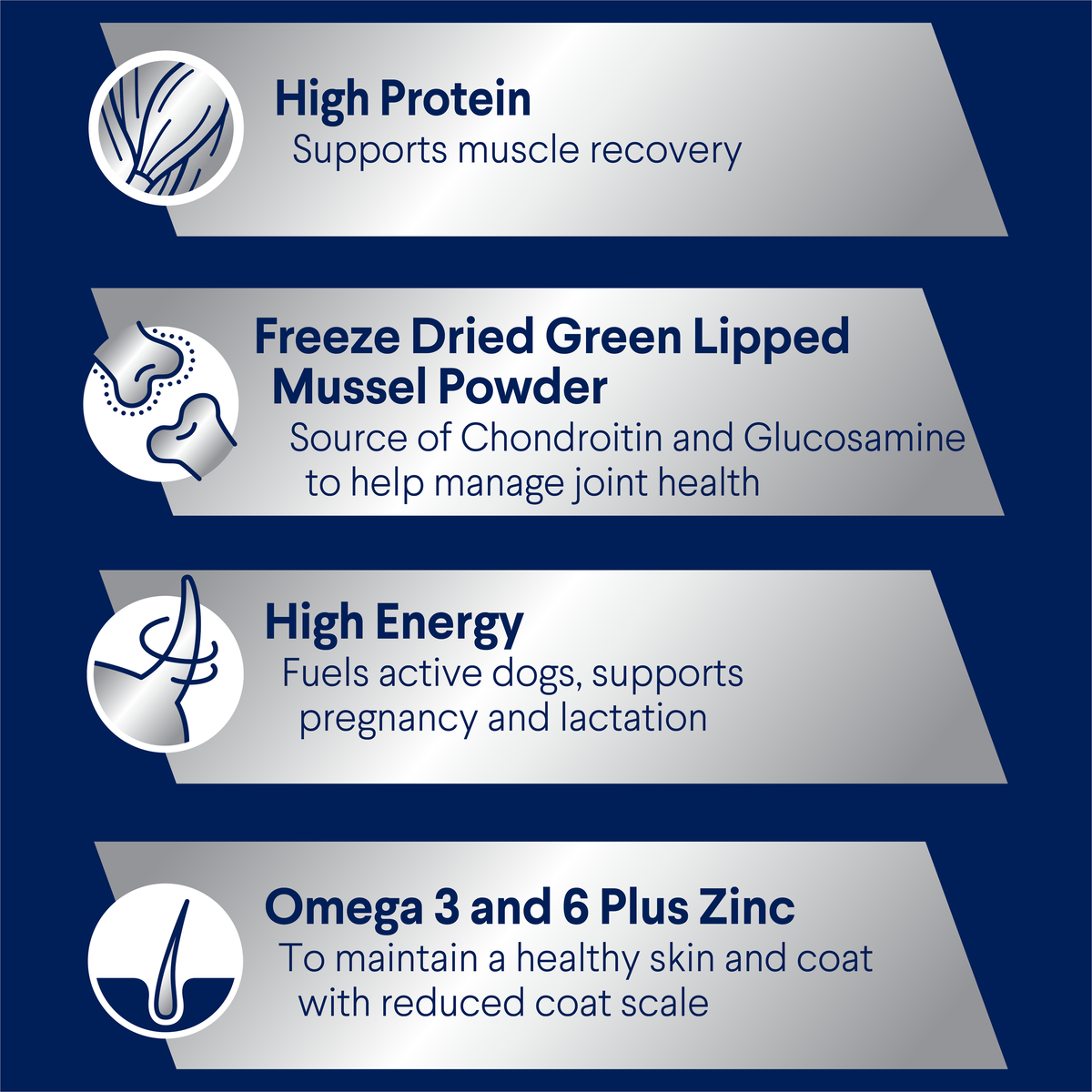 ADVANCE Active Adult benefits: high protein, green lipped mussel powder, high energy, omega 3 and 6 plus zinc