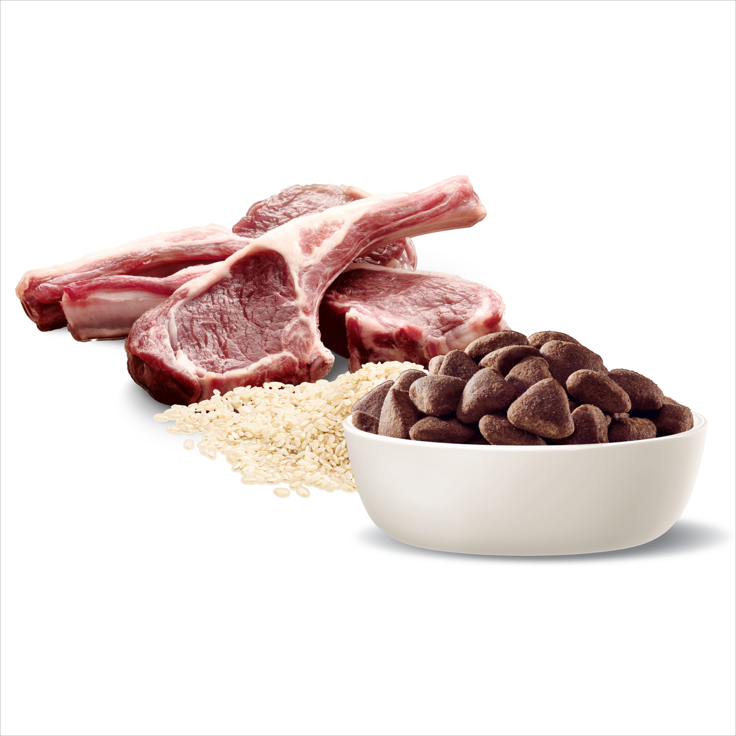 Raw lamb, rice and ADVANCE Adult Large Breed kibble in a bowl