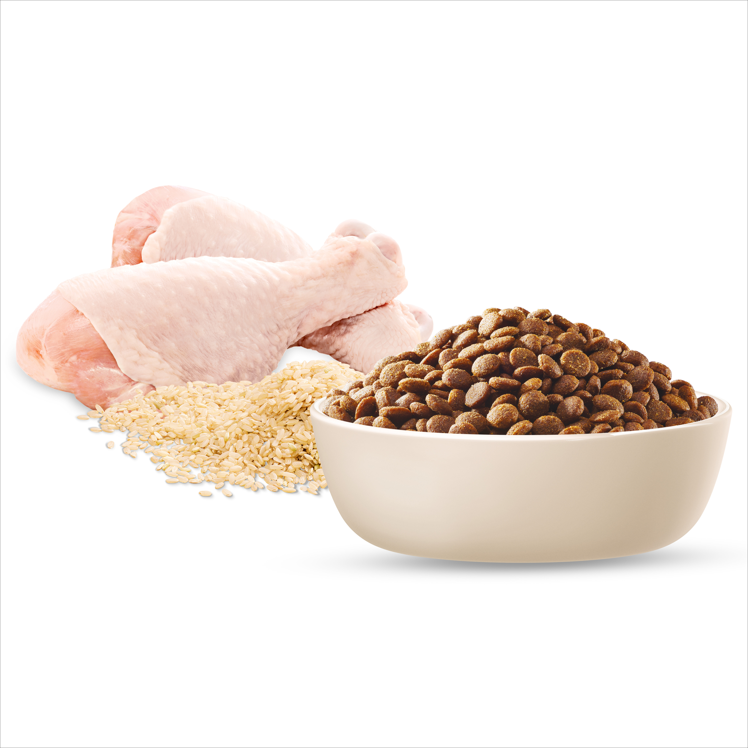 Raw chicken, rice and ADVANCE Puppy Medium Breed kibble in a bowl