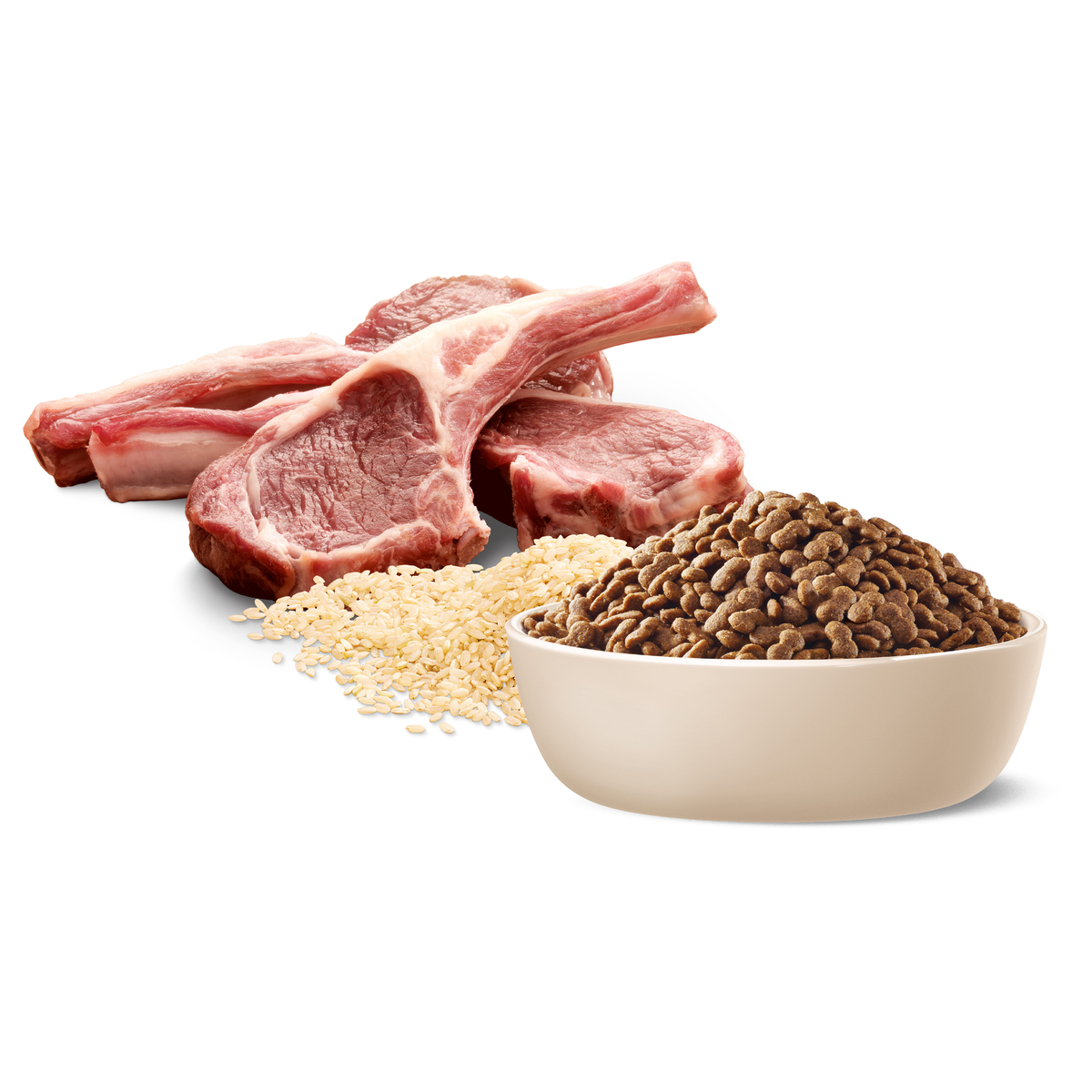 Raw lamb, rice and ADVANCE Adult Small Breed kibble in a bowl