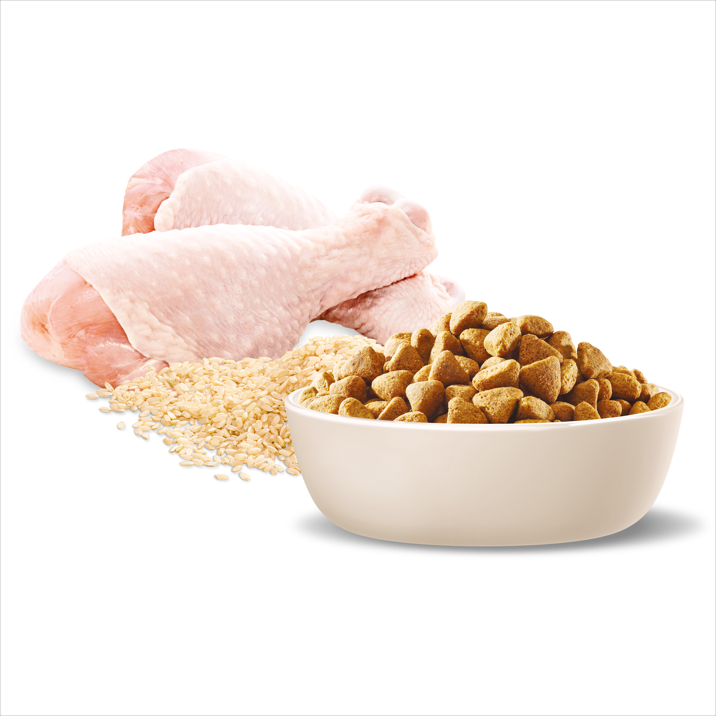 Raw chicken, rice and ADVANCE Healthy Weight Medium Breed kibble in a bowl