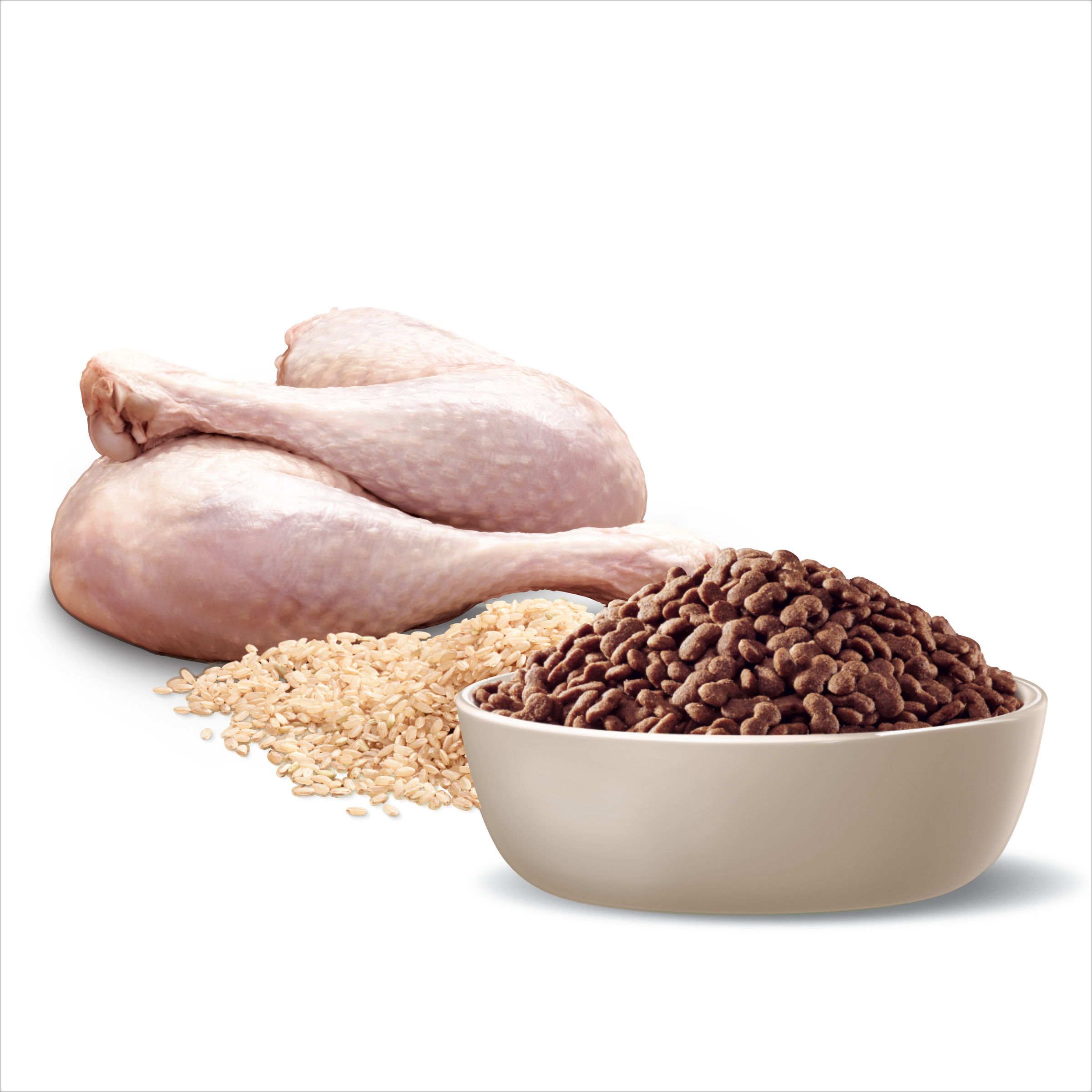 Raw poultry, rice and ADVANCE for all Maltese Crosses kibble in a bowl