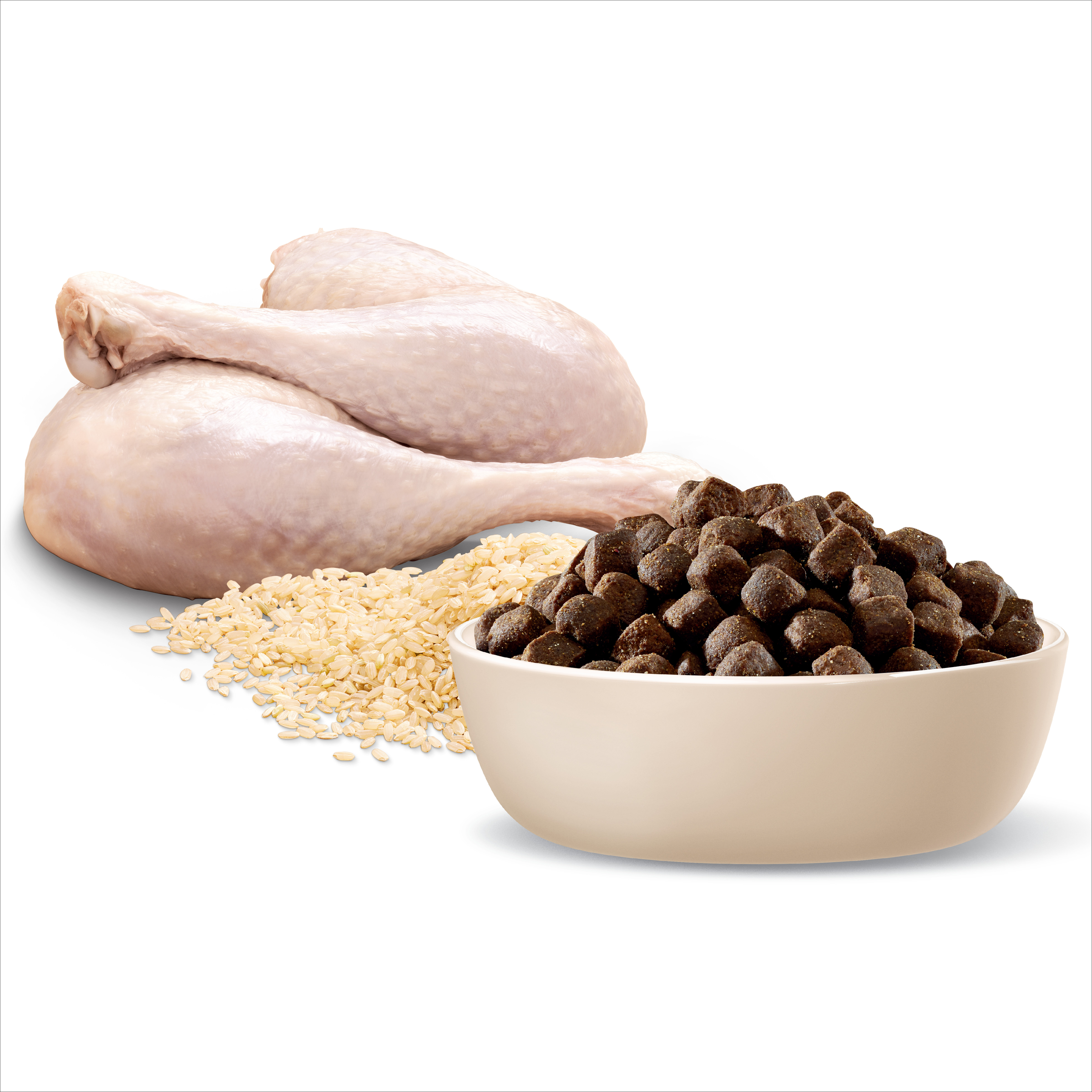 Raw poultry, rice and ADVANCE for Medium Terriers kibble in a bowl