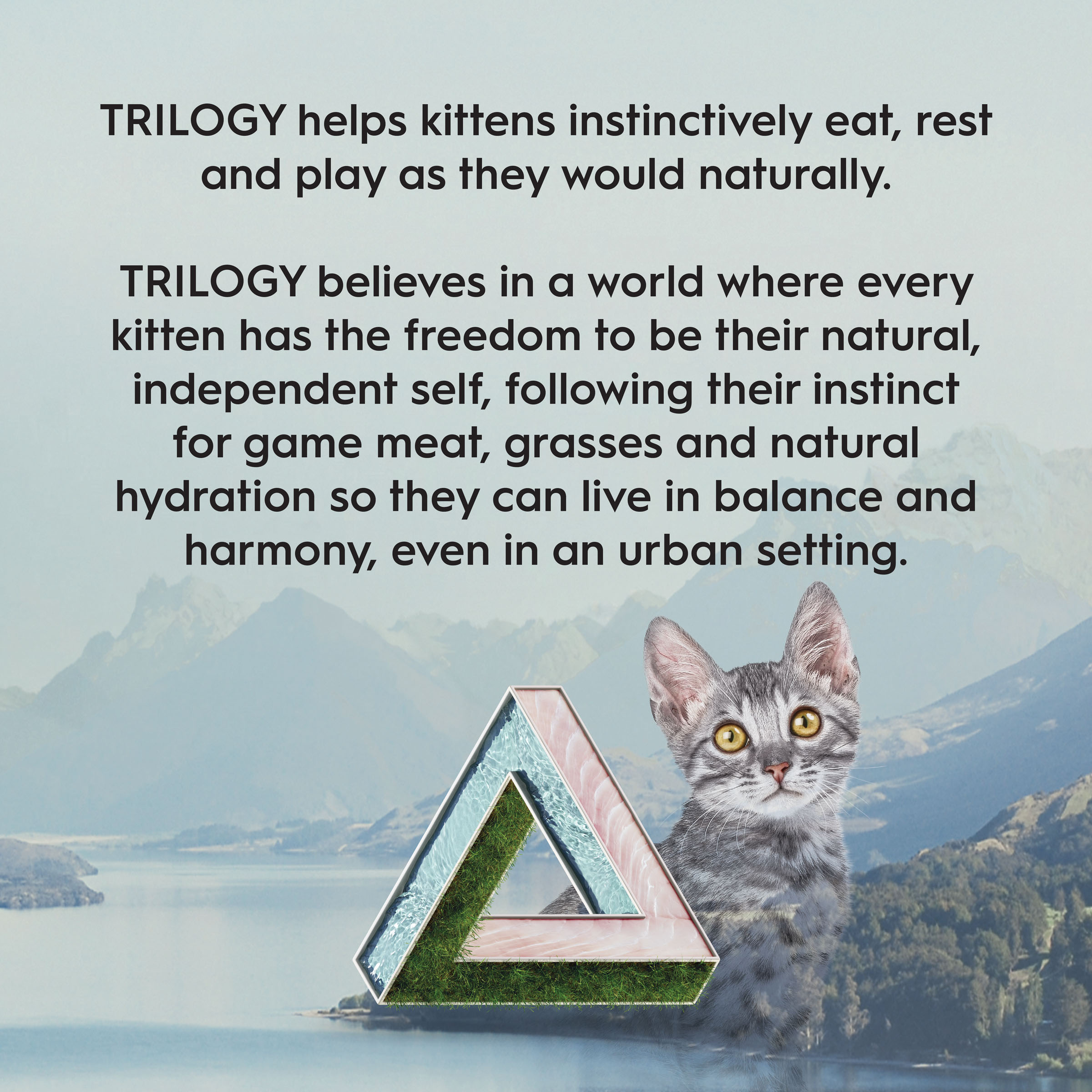 Trilogy kitten brand statement over a tabby kitten in a mountain landscape