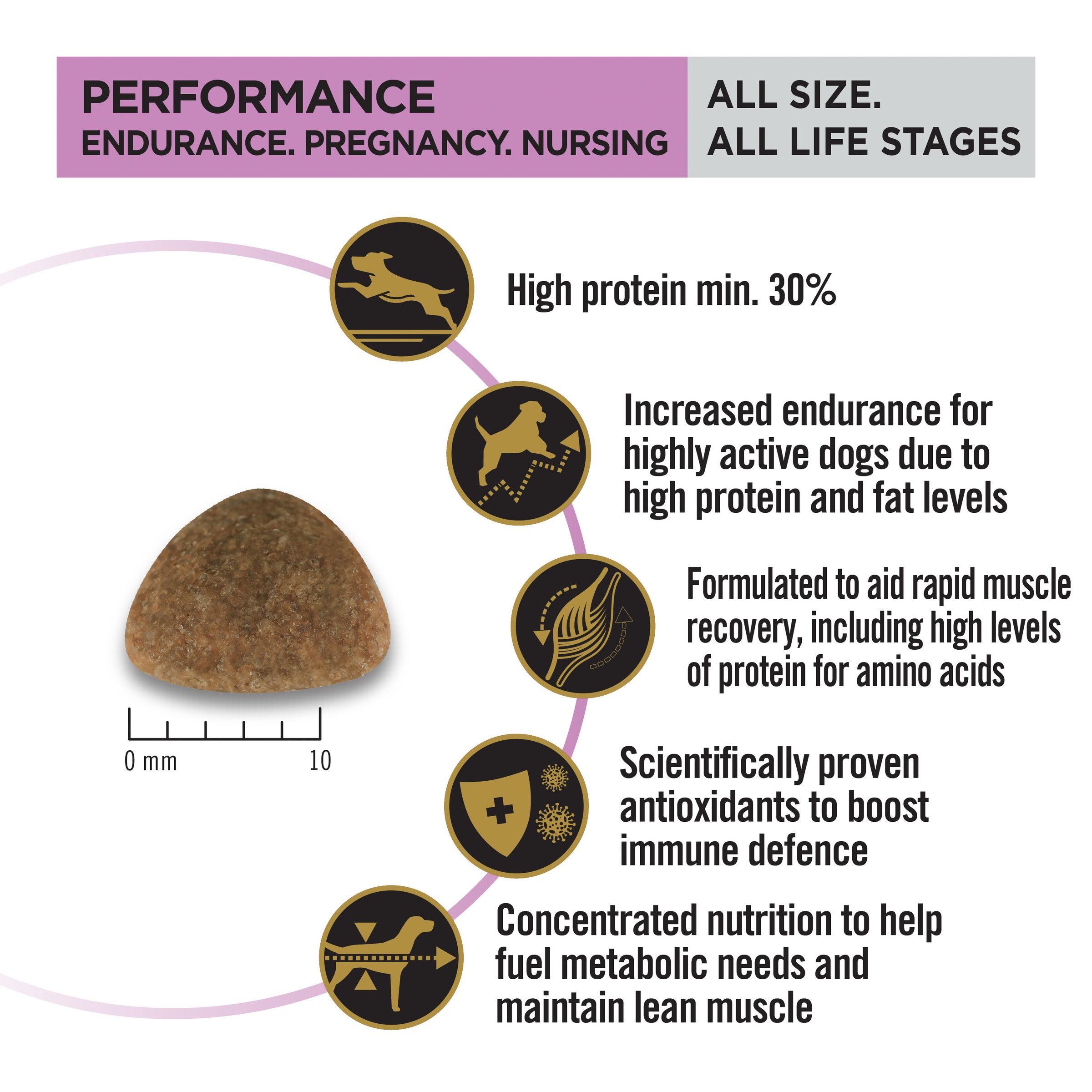 PRO PLAN Performance panel: kibble size, minimum 30% protein, endurance and muscle recovery