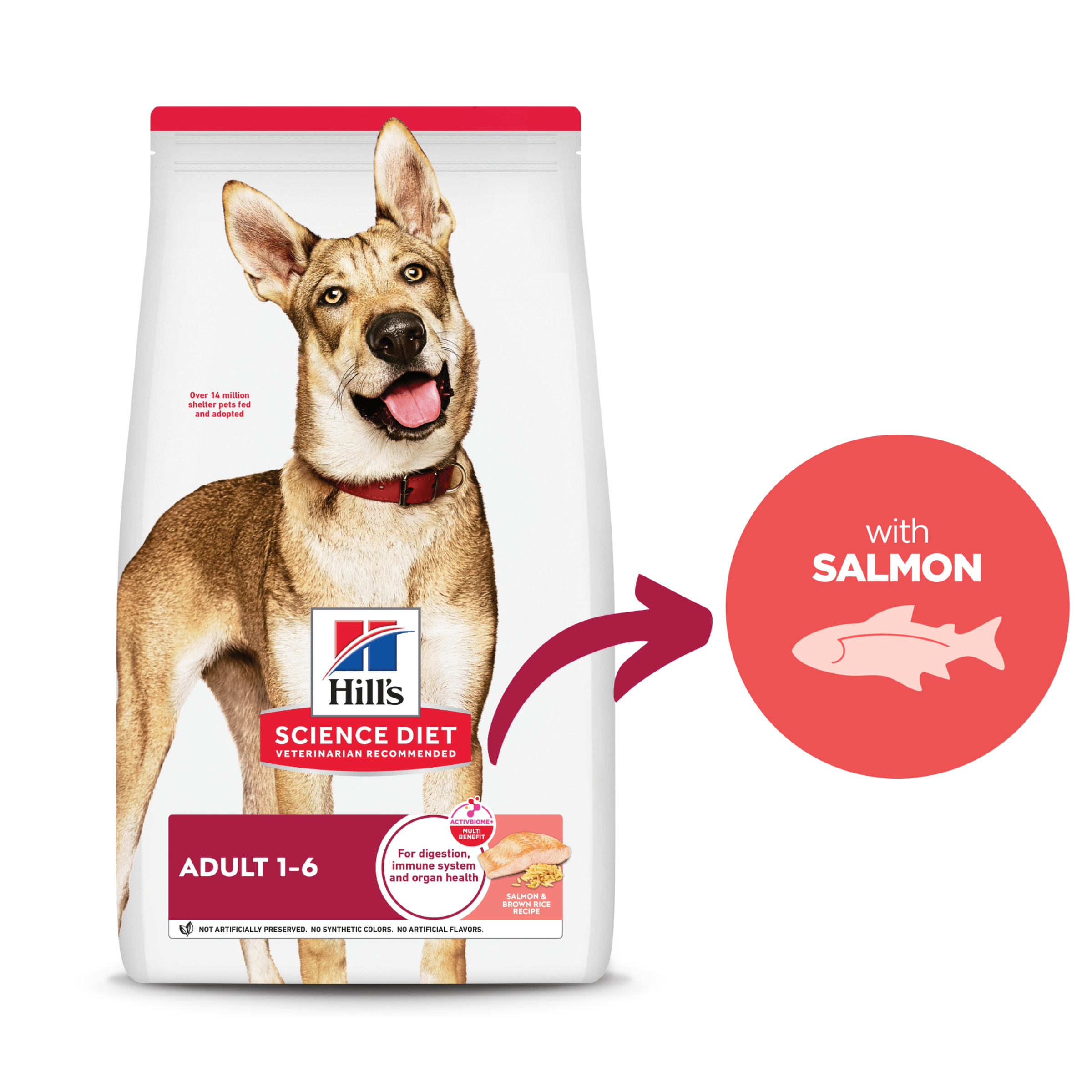 Hill's Science Diet Adult Salmon & Brown Rice Dry Dog Food product detail 5