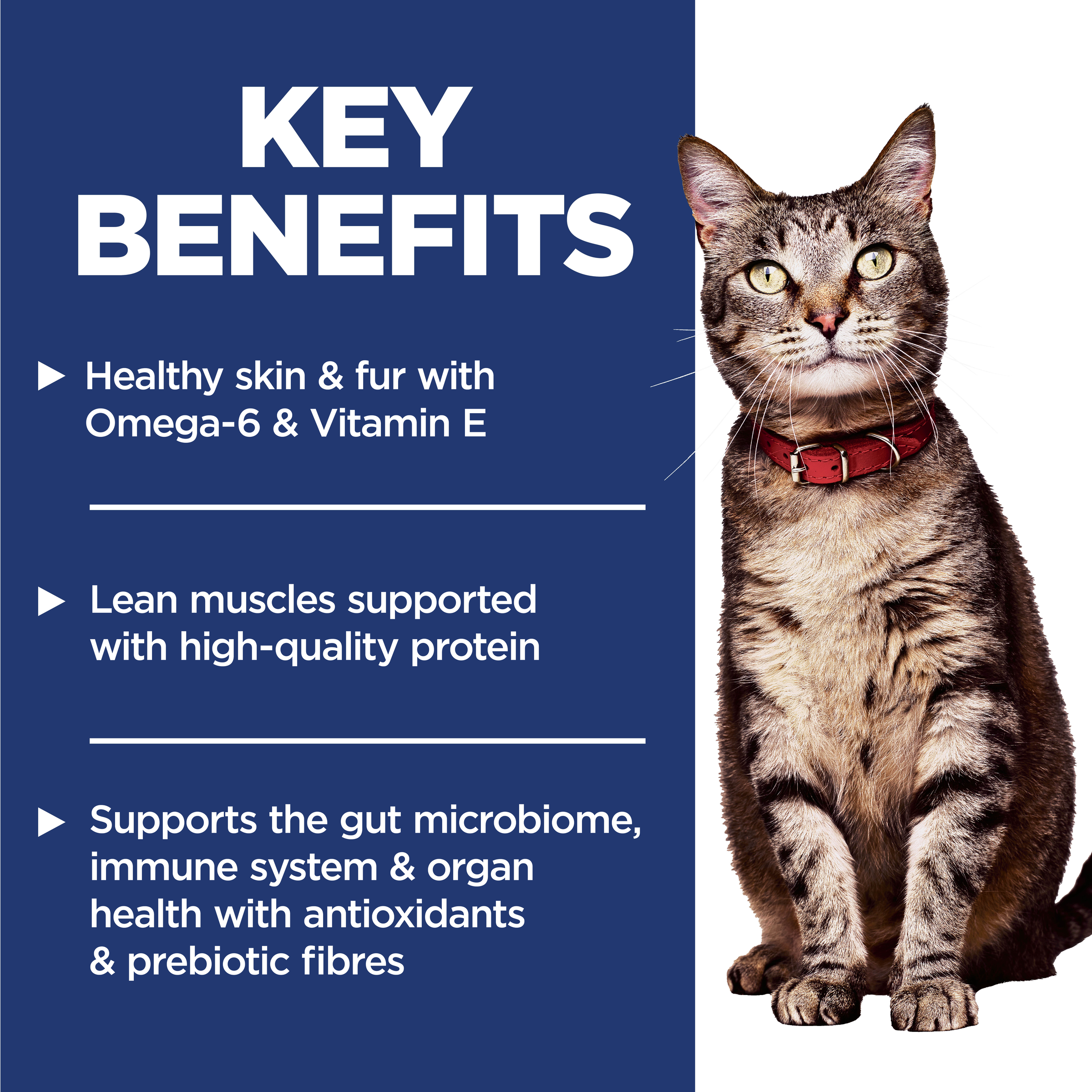 Key benefits panel: healthy skin and fur, lean muscles and gut microbiome support with prebiotics