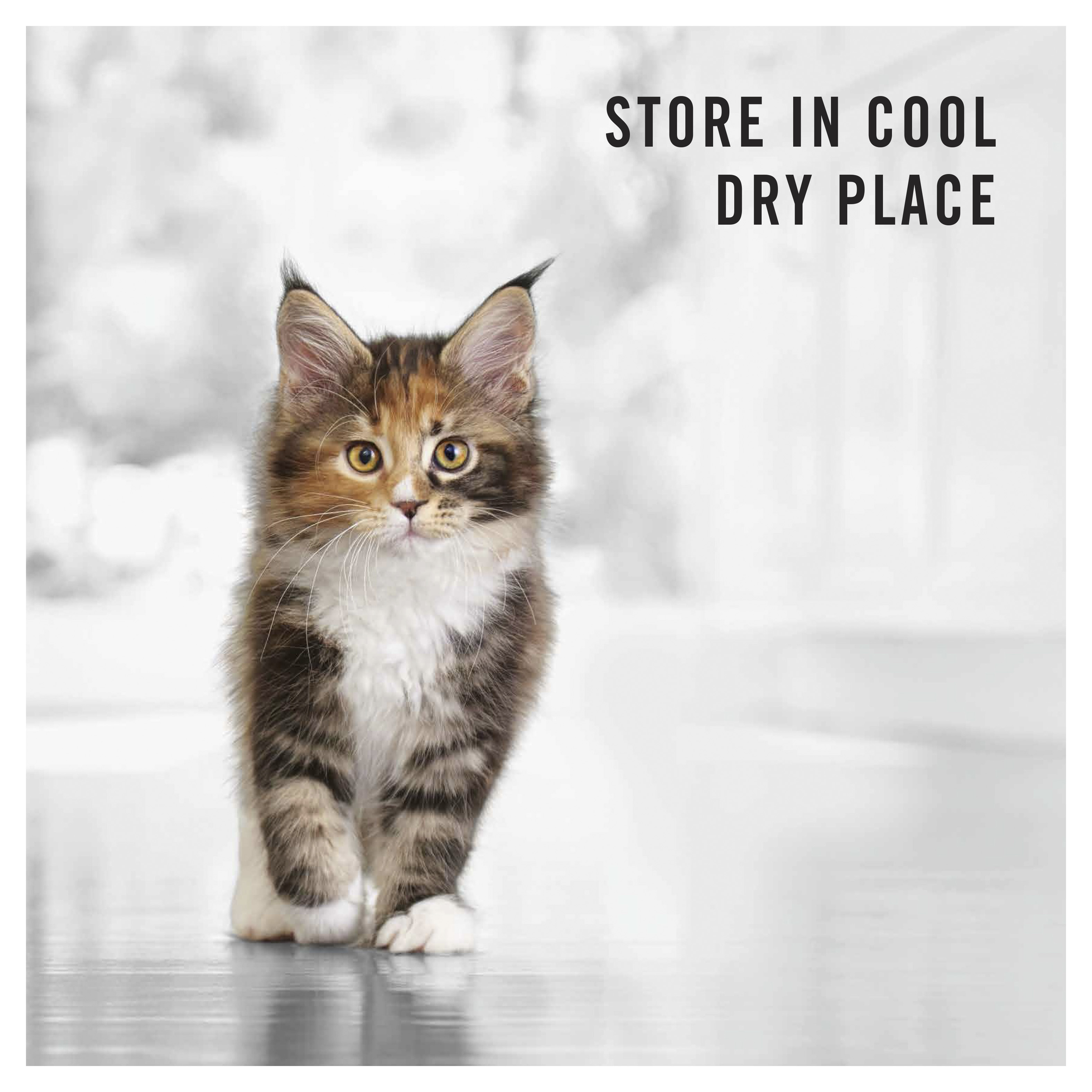 PRO PLAN Kitten Starter Salmon & Tuna Formula Dry Cat Food product detail 1