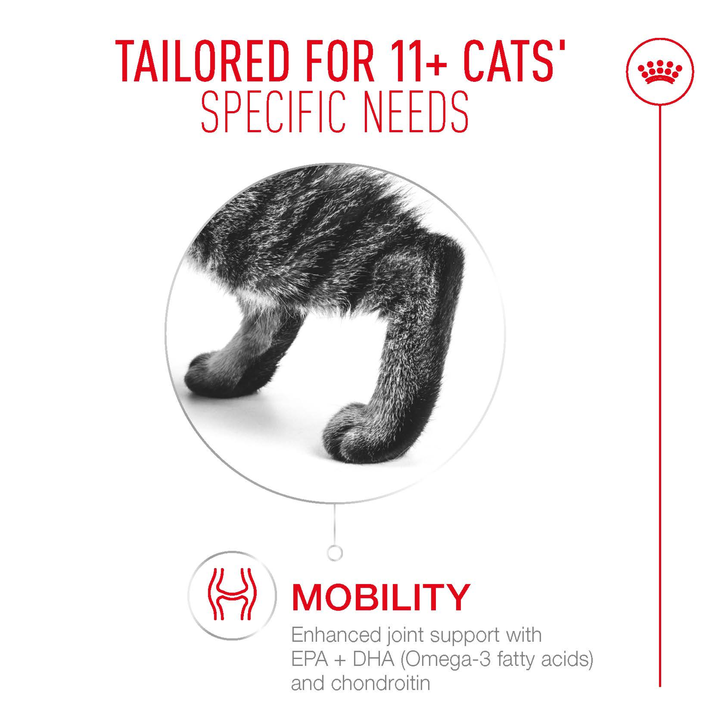 Royal Canin Ageing 11+ Dry Cat Food product detail 3