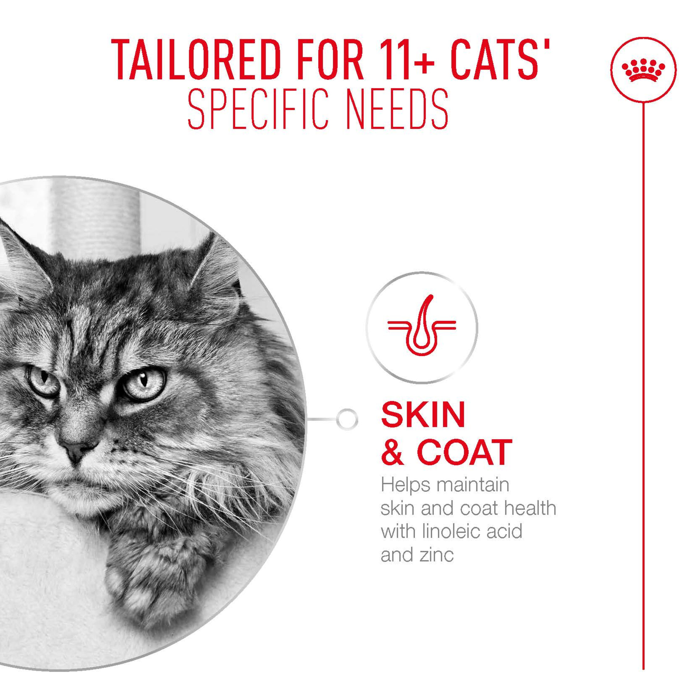 Royal Canin Ageing 11+ Gravy, wet cat food pouches, 12 or 48 x 85g, senior cat