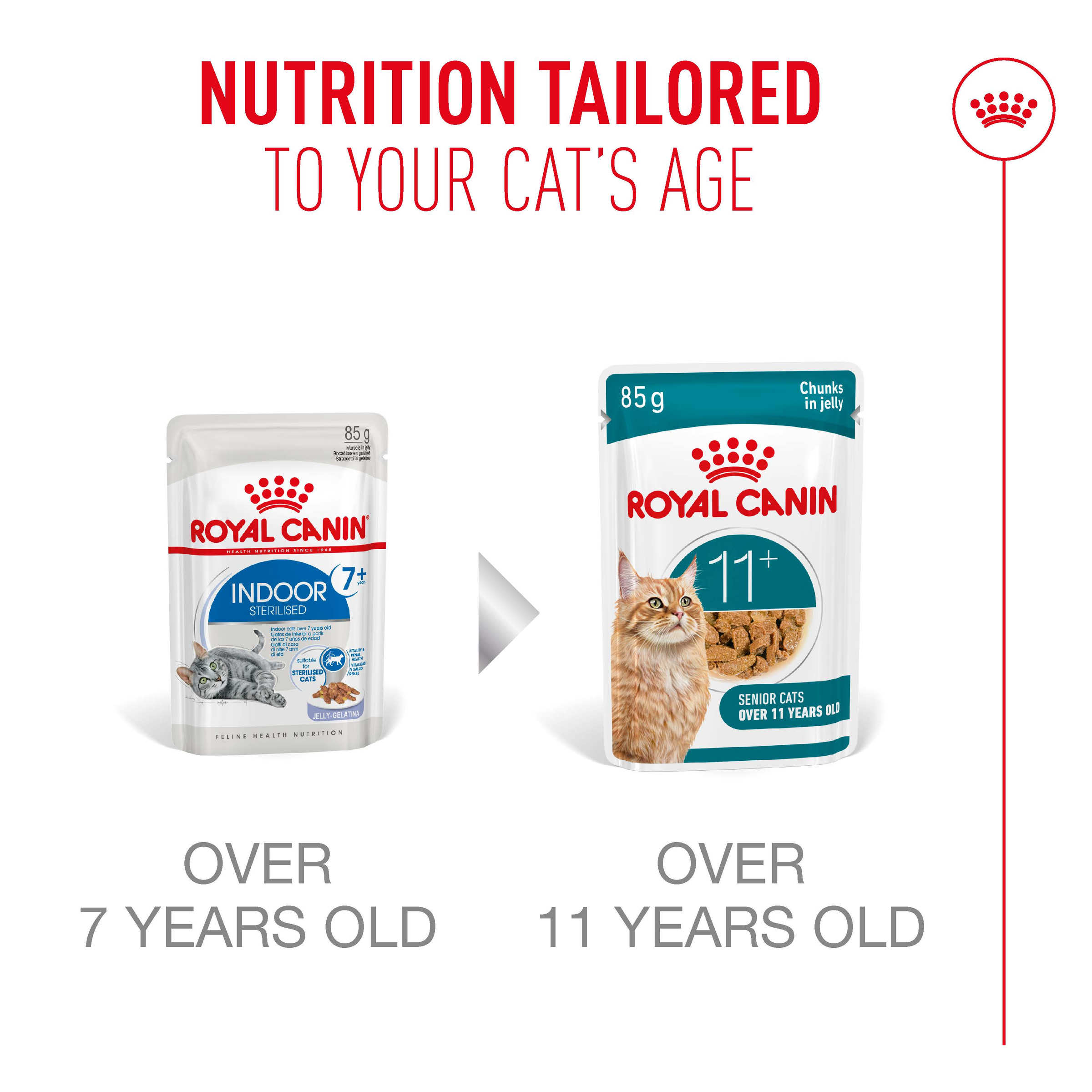Royal Canin Ageing 11+ Jelly, wet cat food pouches, 12 or 48 x 85g, senior cat
