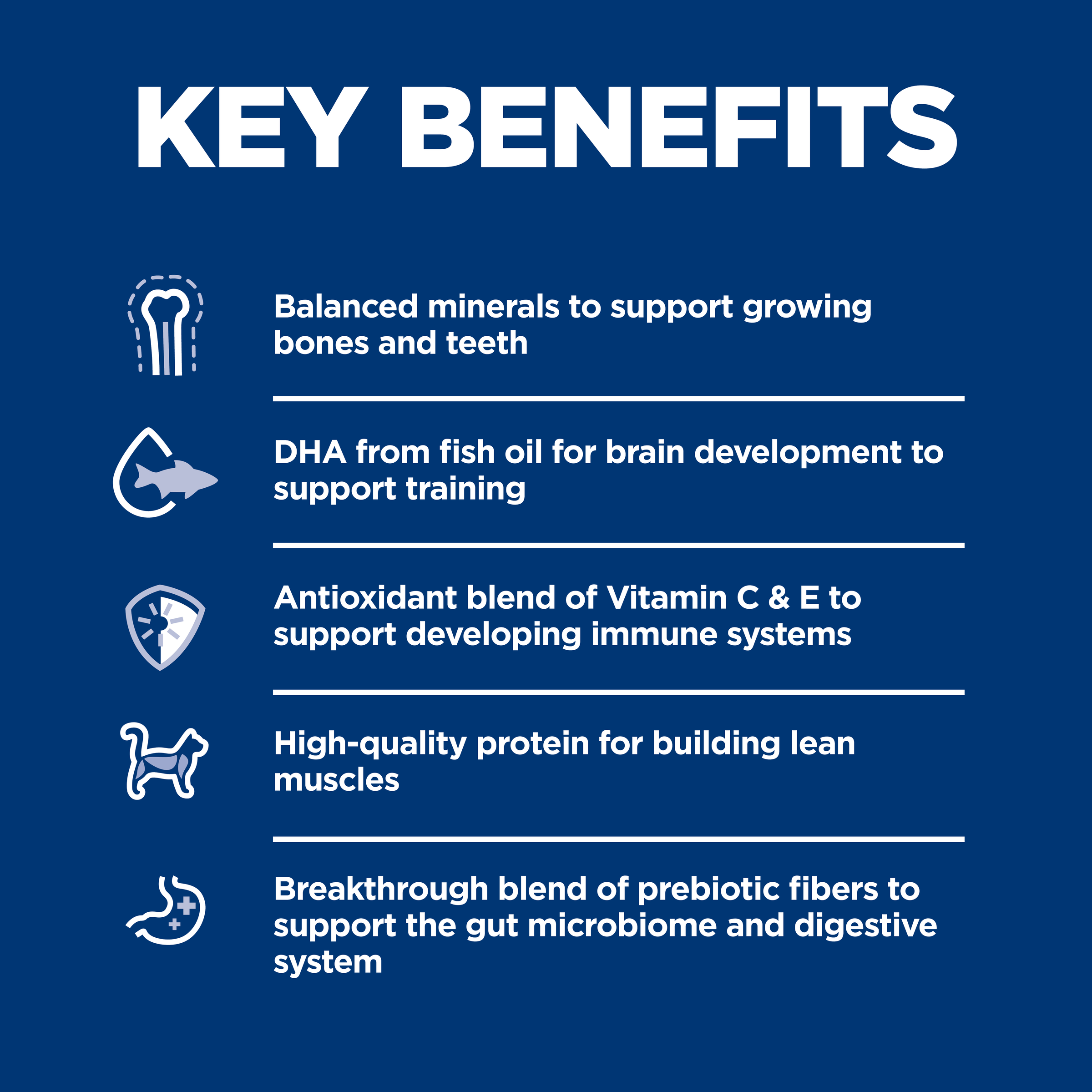 Key benefits panel for Hill's Science Diet Kitten: minerals, DHA, antioxidants, protein and prebiotics