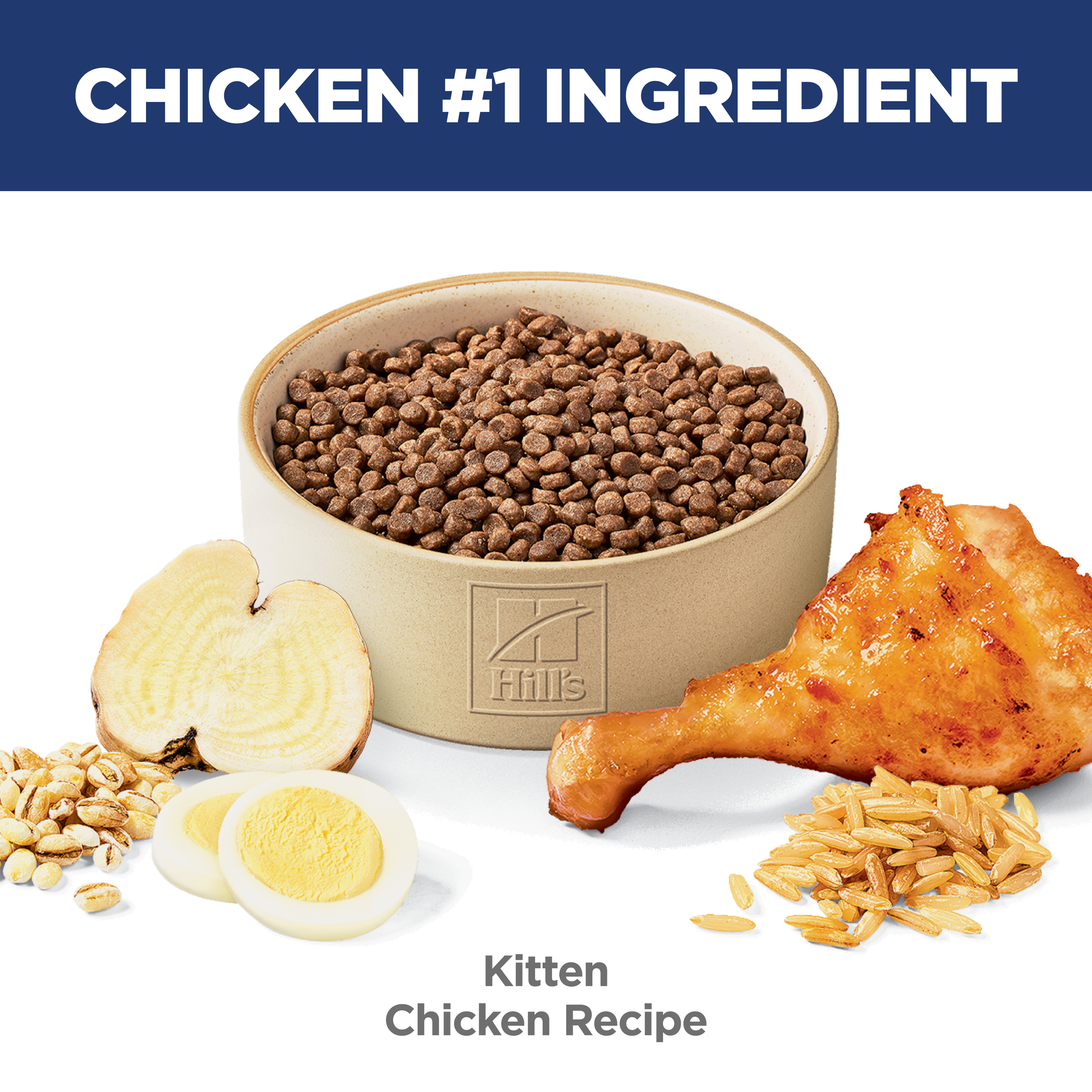Chicken is the number one ingredient: bowl of Hill's Science Diet Kitten chicken recipe kibble