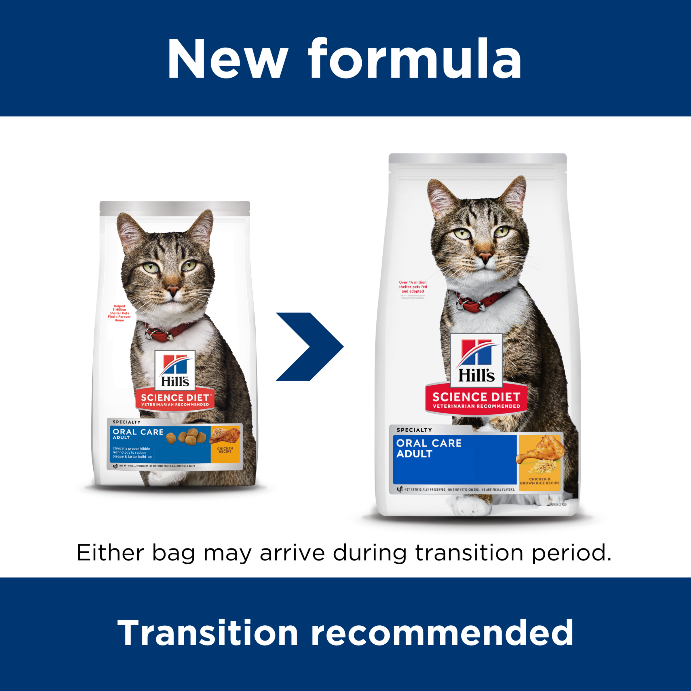 Hill's Science Diet Dry Cat Food Adult Oral Care product detail 1