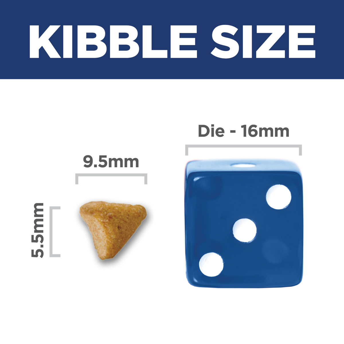 Kibble size comparison: 9.5mm by 5.5mm Hill's Adult Hairball Control kibble beside a 16mm dice