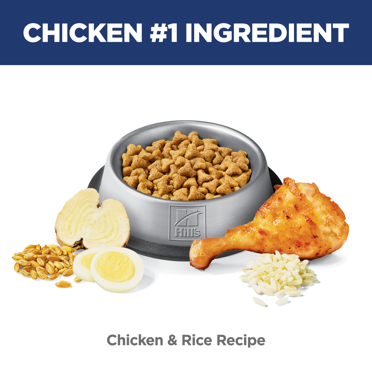 Chicken is the number one ingredient: bowl of Hill's Urinary Hairball Control chicken and rice kibble