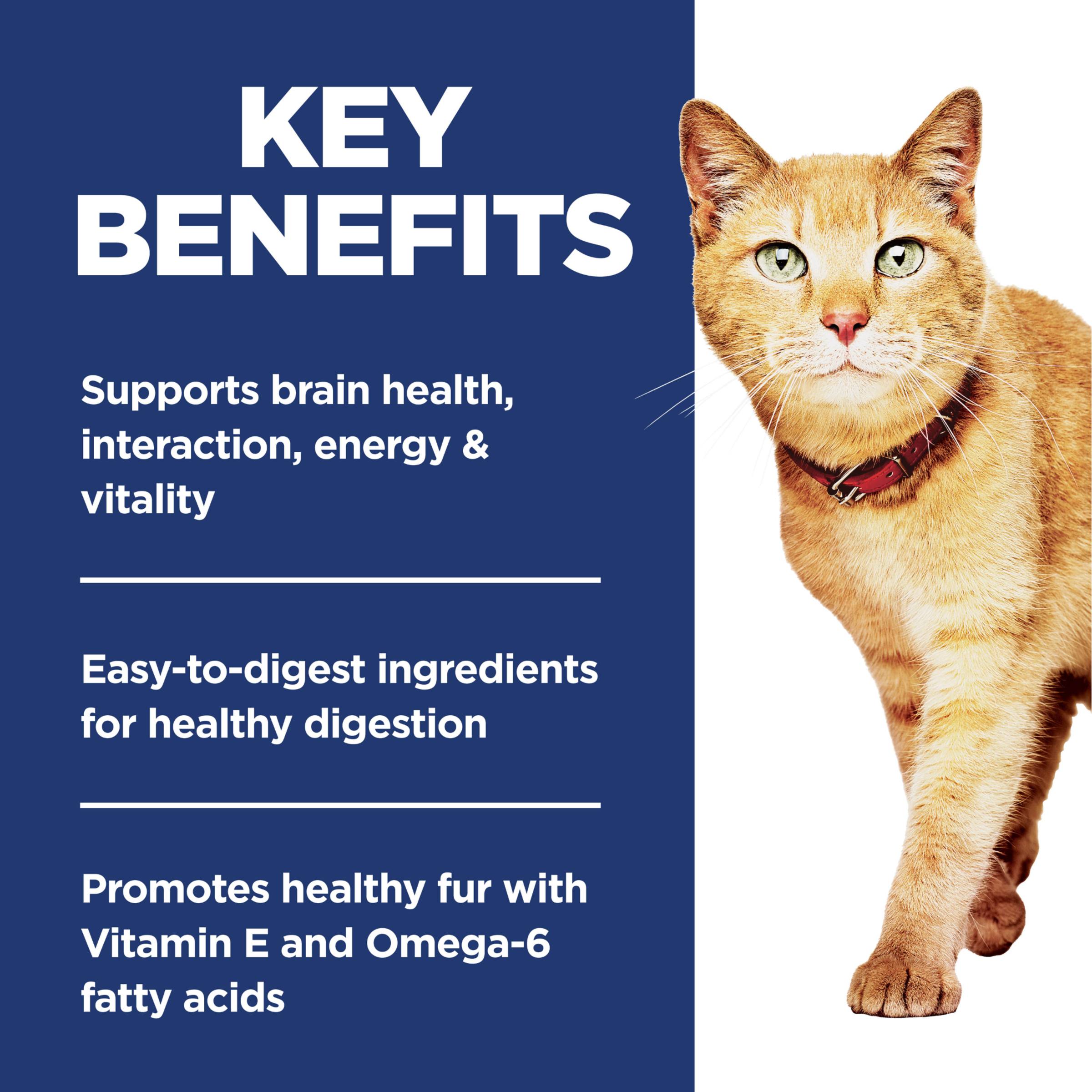 Key benefits panel for Hill's Adult 7+ Senior Vitality: brain health, energy, digestion and healthy fur