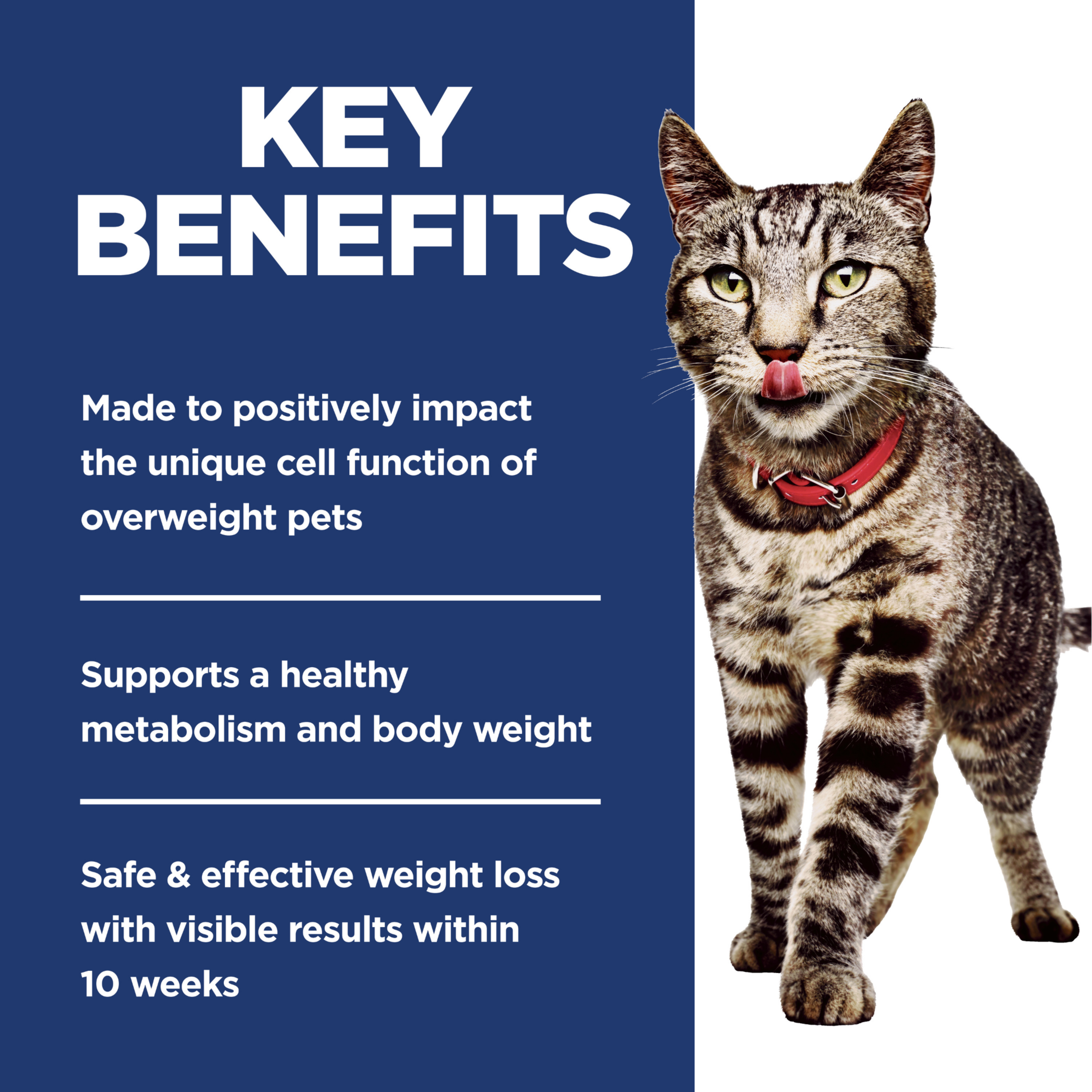Key benefits panel for Hill's Perfect Weight: healthy metabolism and visible weight loss in 10 weeks