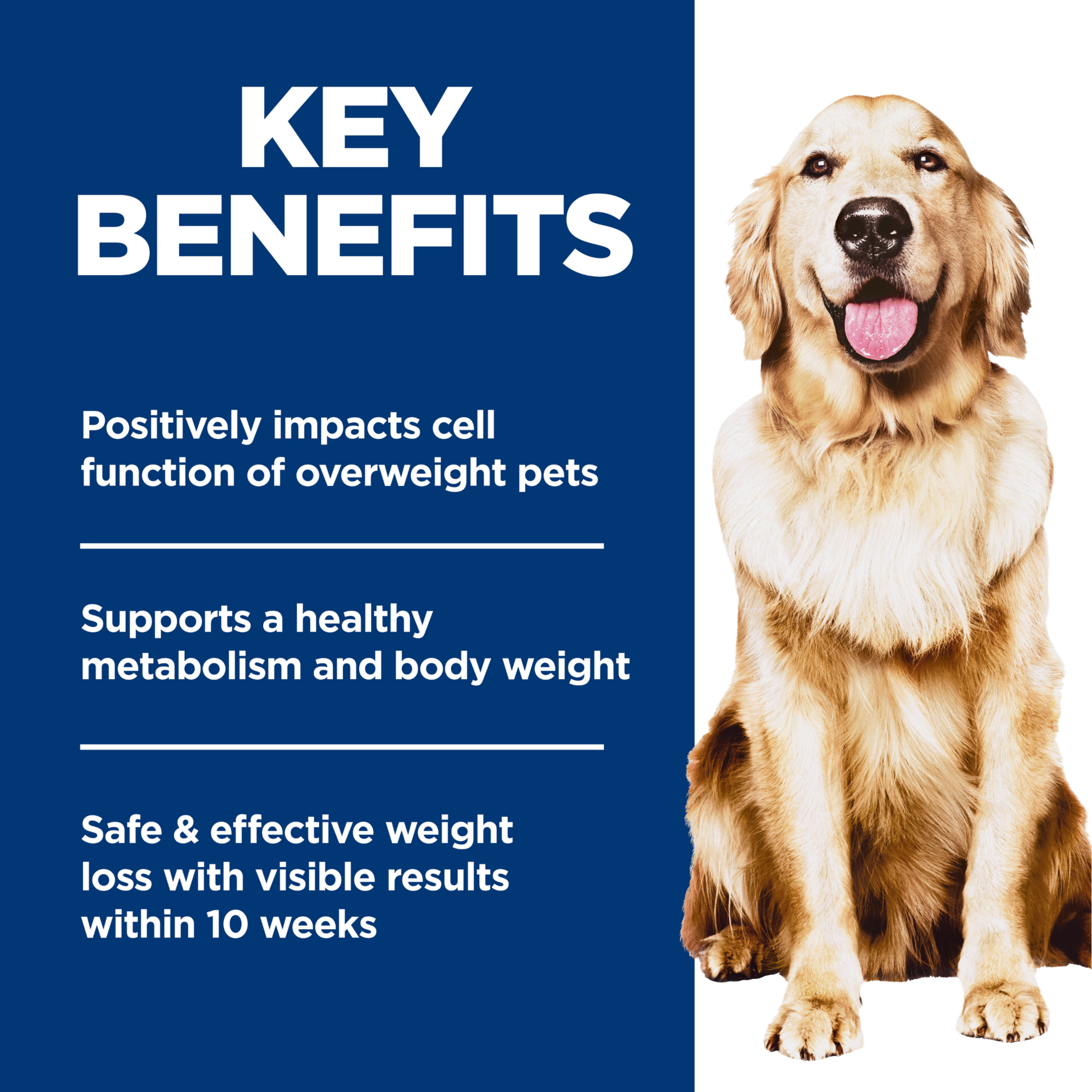 Key benefits panel for Hill's Perfect Weight dog food: healthy metabolism and weight loss in 10 weeks