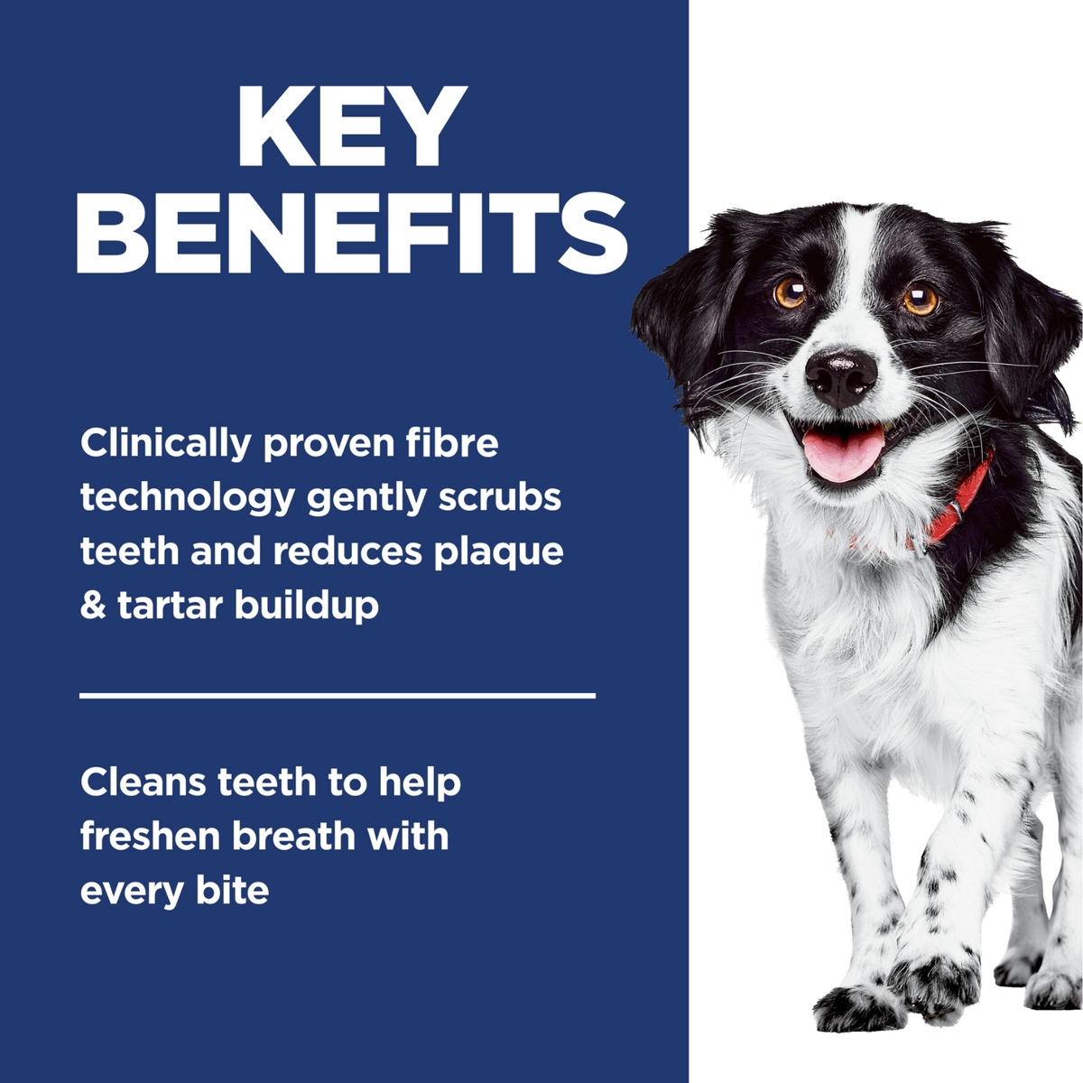 Key benefits panel: fibre technology scrubs teeth, reduces plaque and tartar and freshens breath